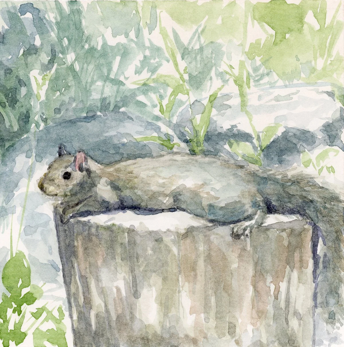 4x4 Squirrel on Stump - Charmaine Osaerang.jpg
