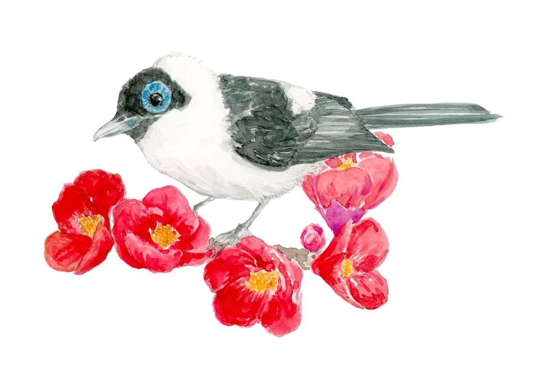 Monarch and Flowers.jpg