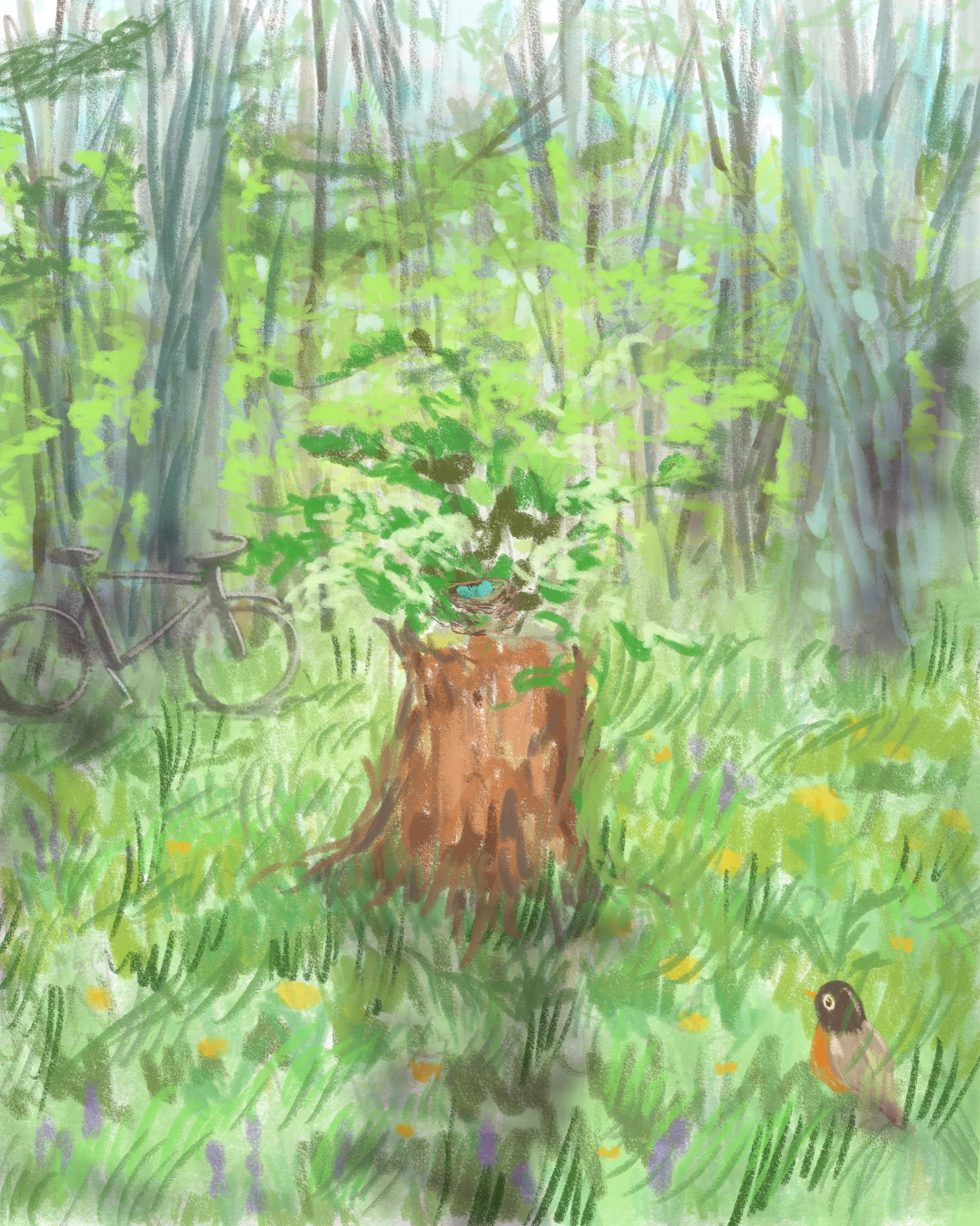 Robin's_Nest.jpg