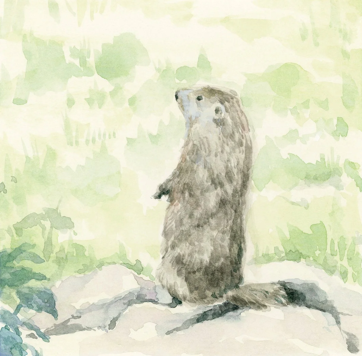 4x4 Groundhog - Charmaine Osaerang.jpg