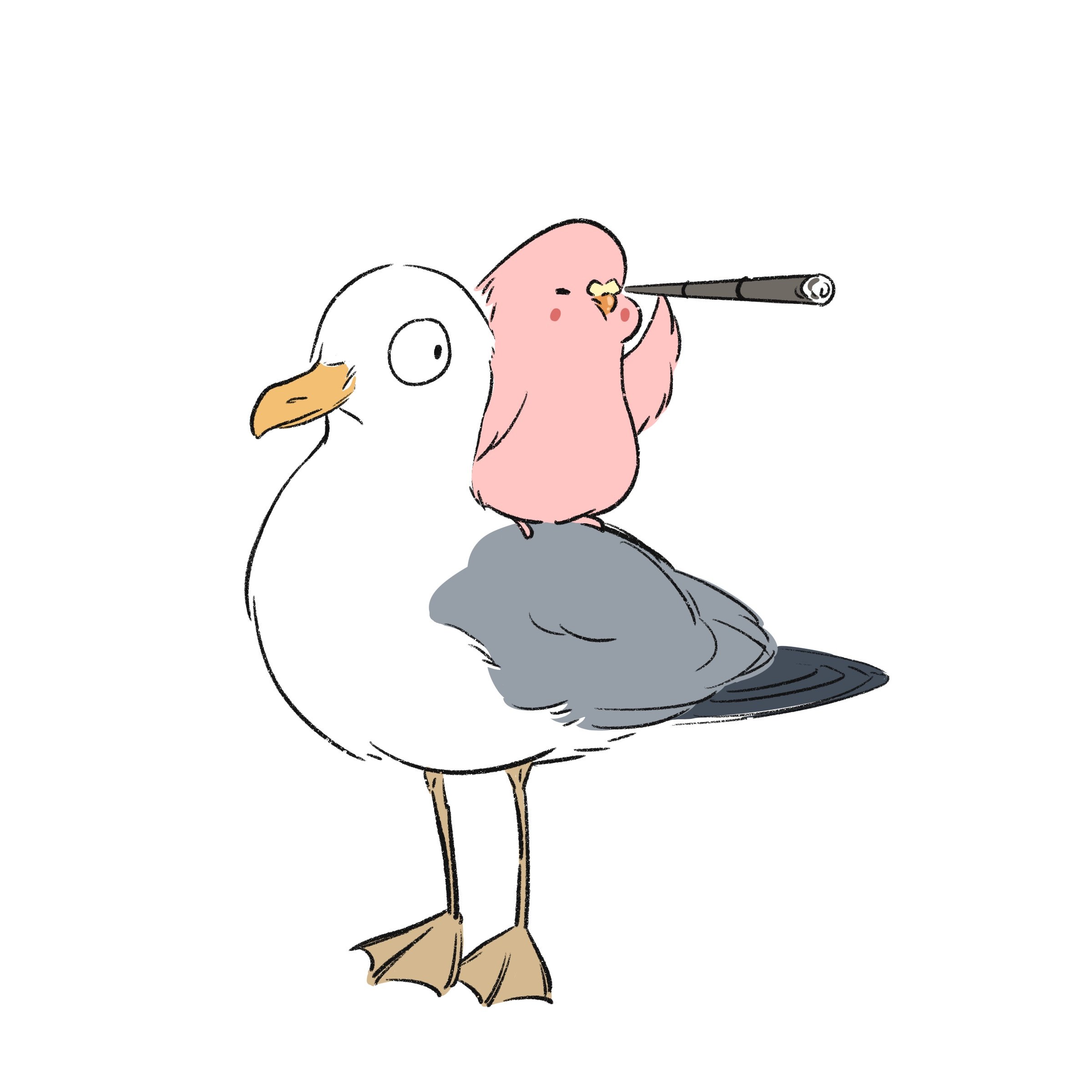 Seagull_And_Binoculars.jpg