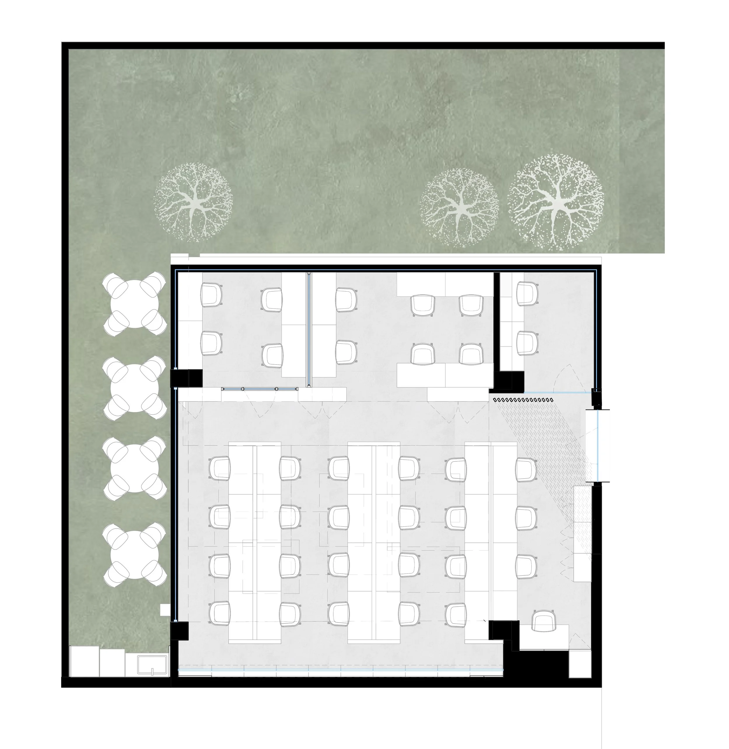 CT PLANTA.jpg