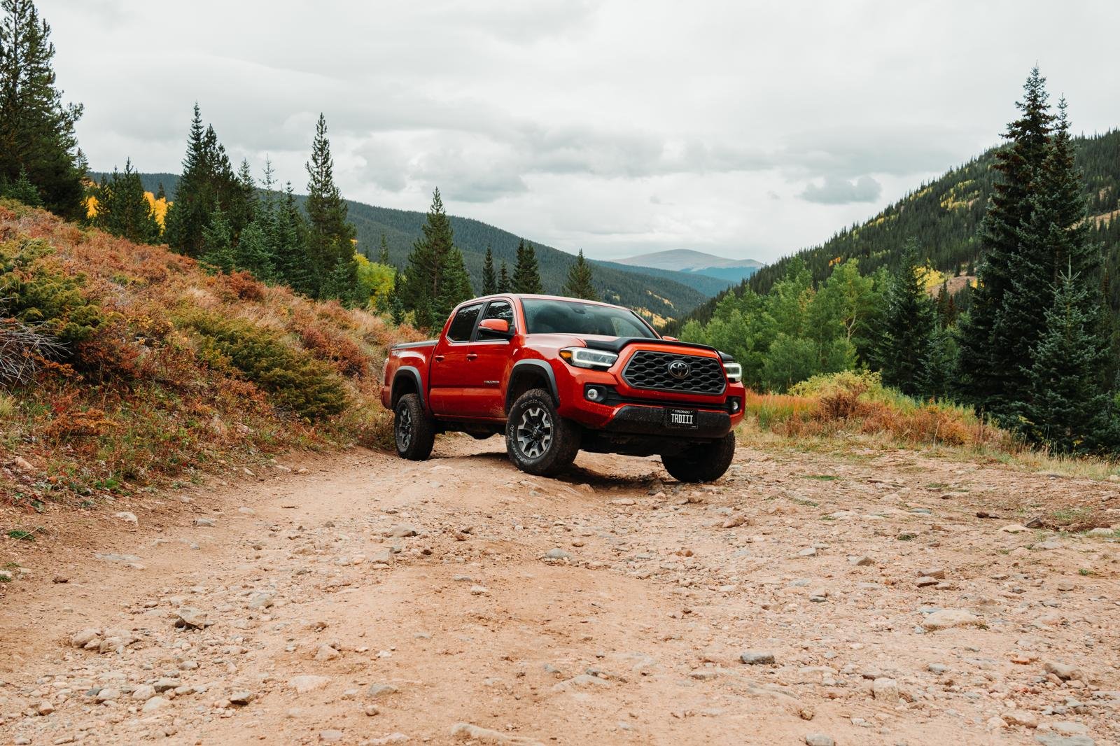 WhatsApp Image 2026-03-03 at 6.37.12 PM.jpeg