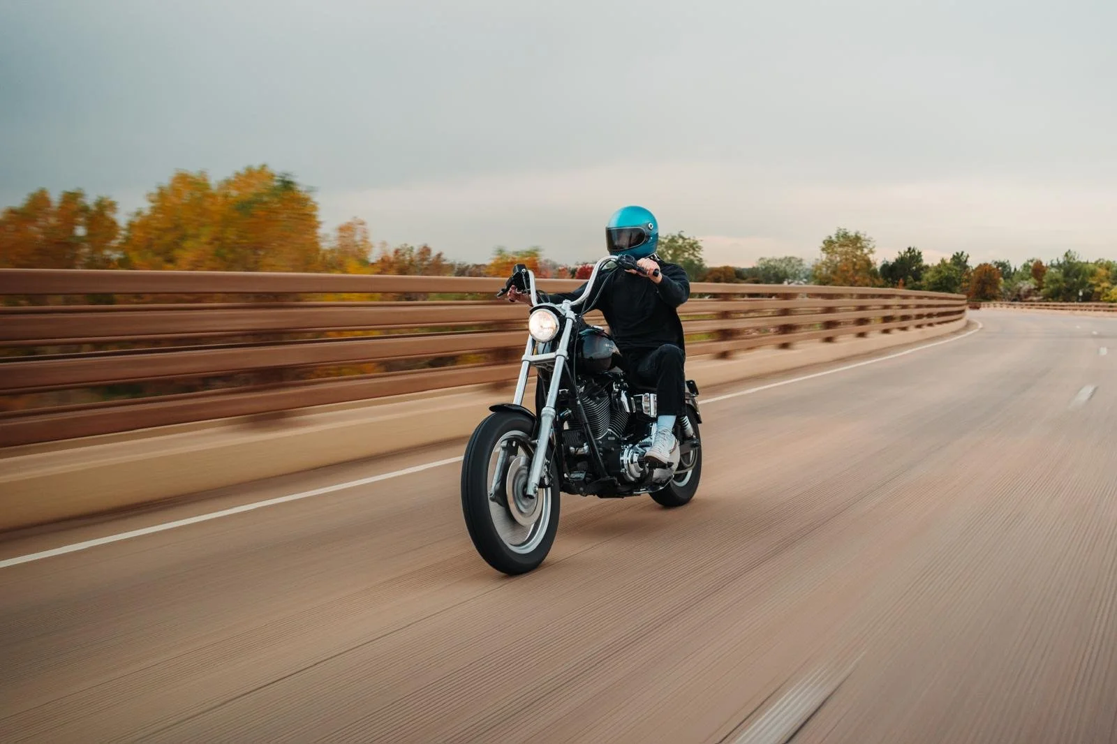 WhatsApp Image 2026-03-03 at 6.36.36 PM.jpeg