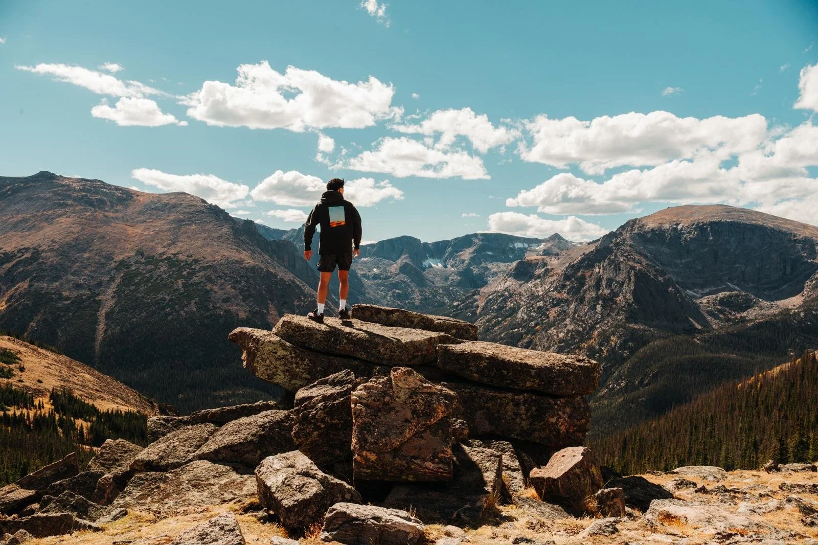 WhatsApp Image 2026-03-03 at 6.35.41 PM.jpeg