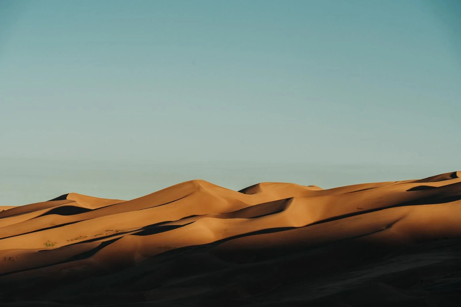 WhatsApp Image 2026-03-03 at 6.46.49 PM.jpeg