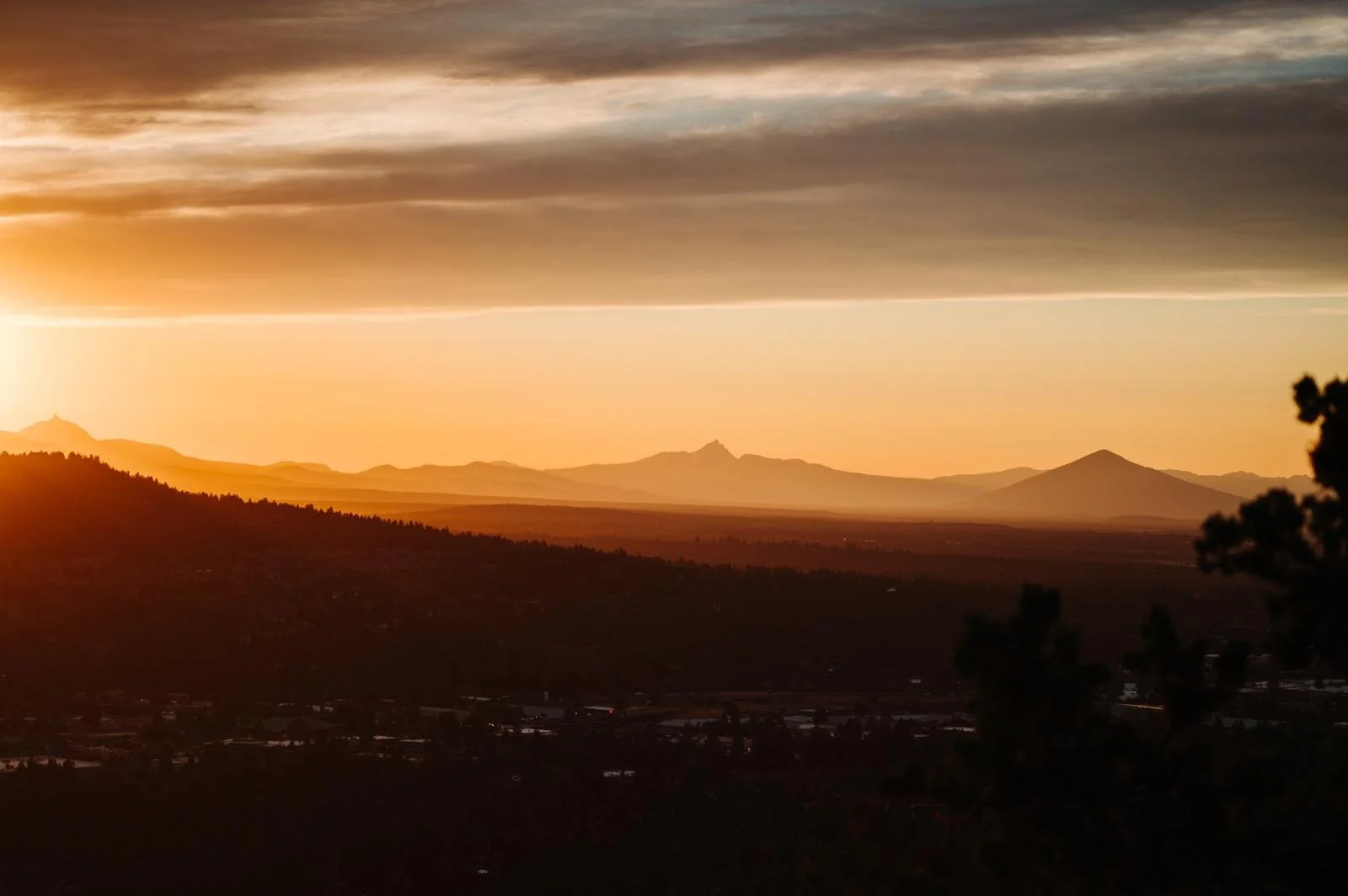 WhatsApp Image 2026-03-03 at 6.46.03 PM.jpeg