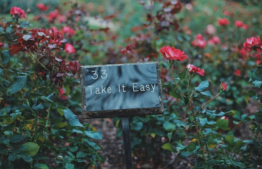 A garden of pink roses with a sign that says '33 Take It Easy' in front.