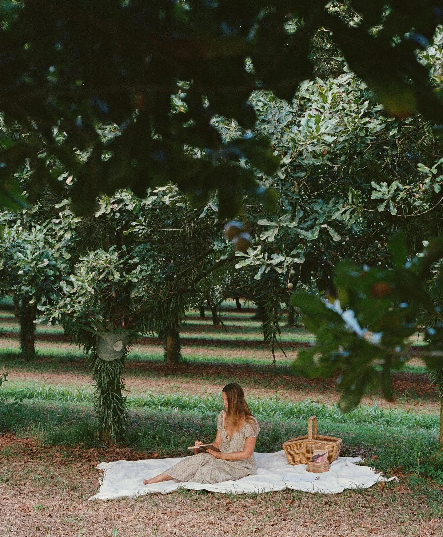 With the turning of the seasons, I can feel my body naturally beginning to recalibrate after the sustaining energy of summer. This is the intelligence of our biology ~ always seeking homeostasis and moving toward balance, if we allow it.

When a syst