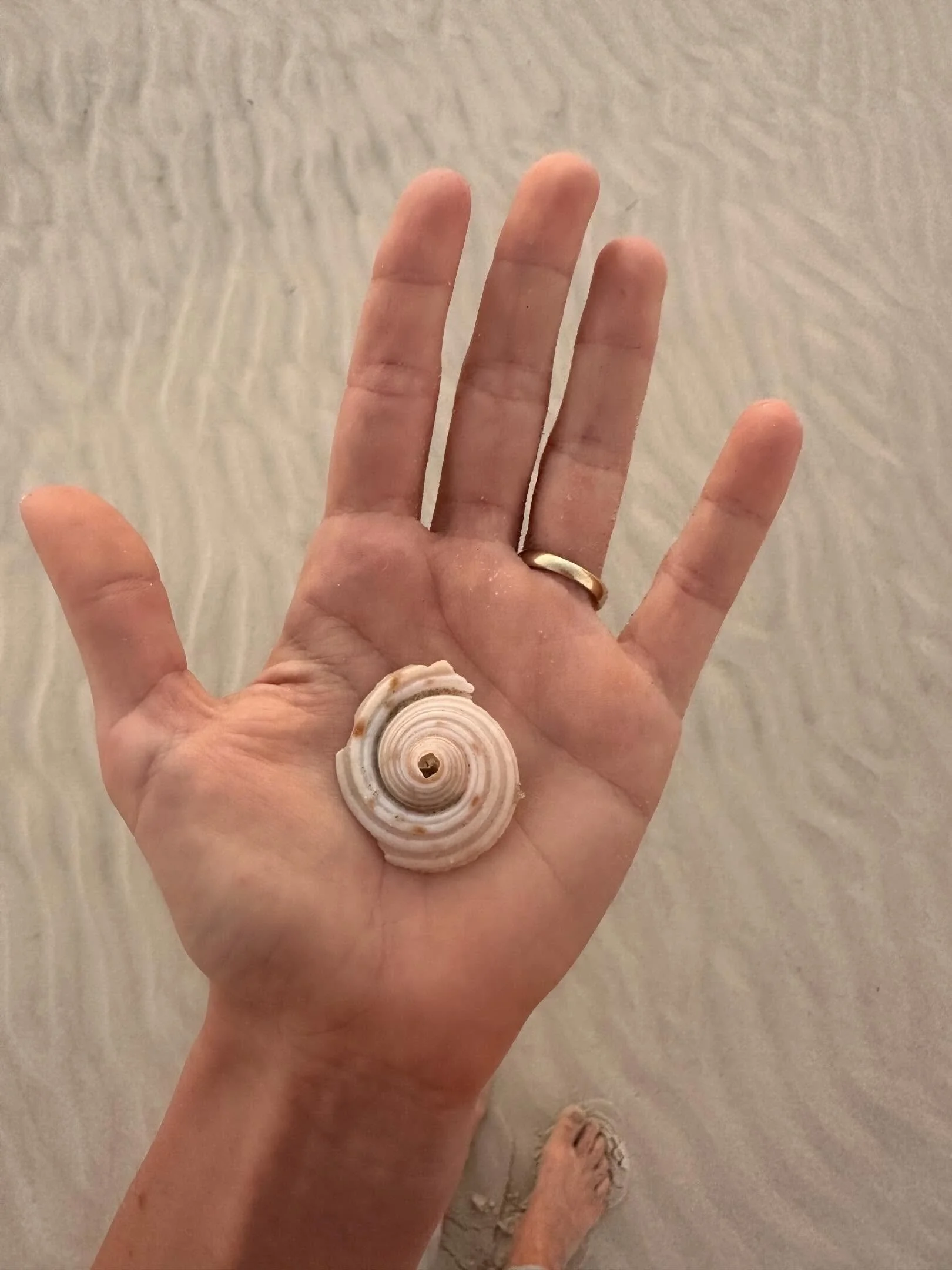 Life is dynamic and characterised by change. As women, we have a natural, intuitive understanding of these rhythmic, ever-changing cycles. We are privileged to know these truths through our own bodies.

Right now I am in a season of trusting the unkn