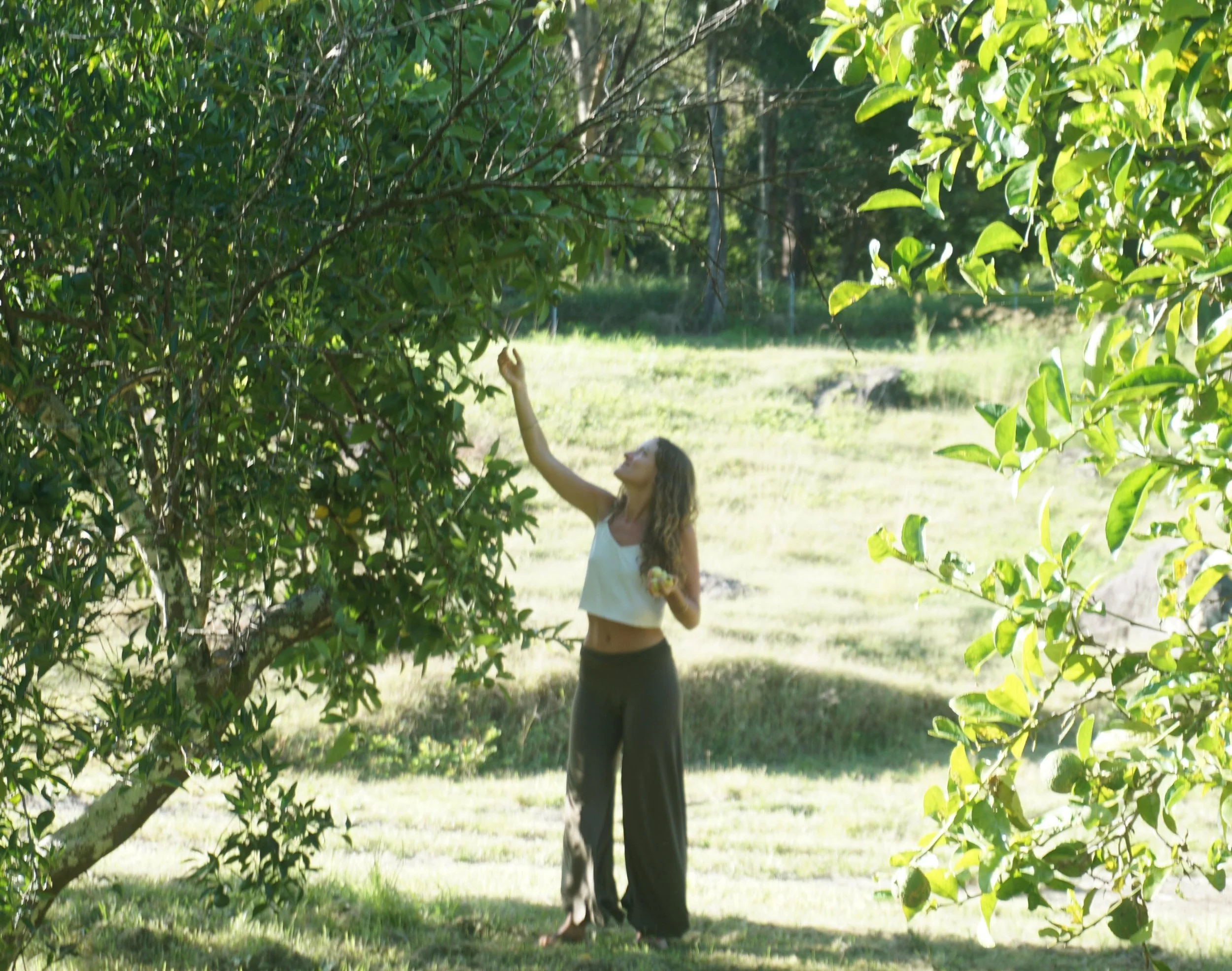 &ldquo;Autumn is the season of ripening and maturity, when fruits fall plump and sweet to the ground. Little seeds are borne off on the stiffening wind to await the season of rebirth and renewal. The season sings &ldquo;surrender&rdquo;, and all of n