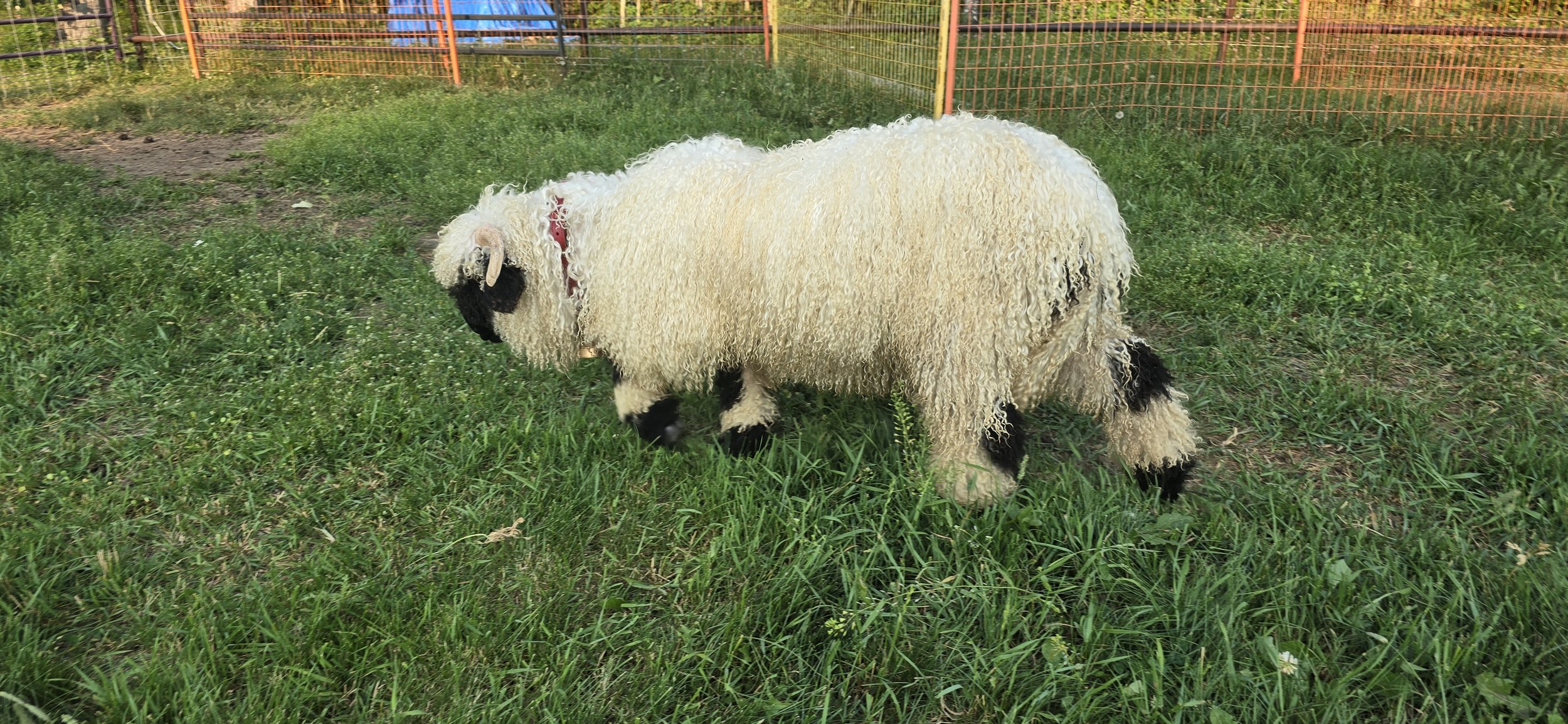 April side view.jpg
