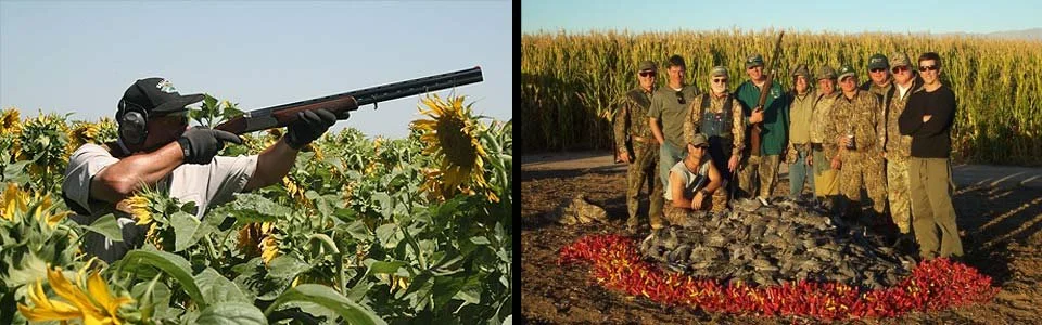 argentina-dove-hunting-2.jpg