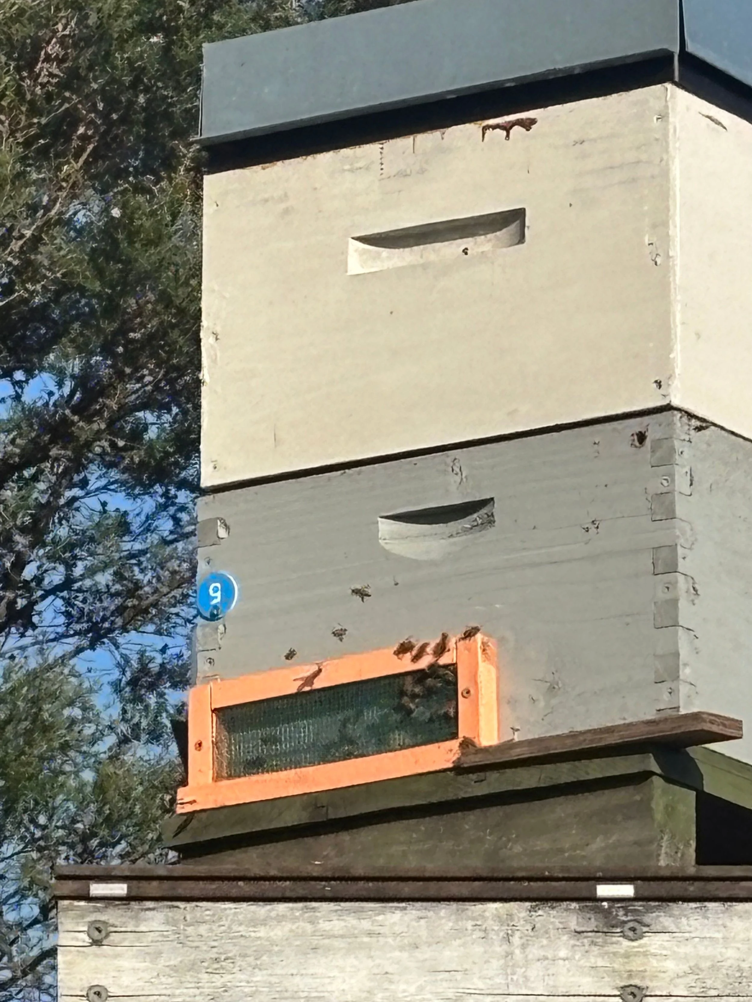 Robing Screens for Hives with wooden bases