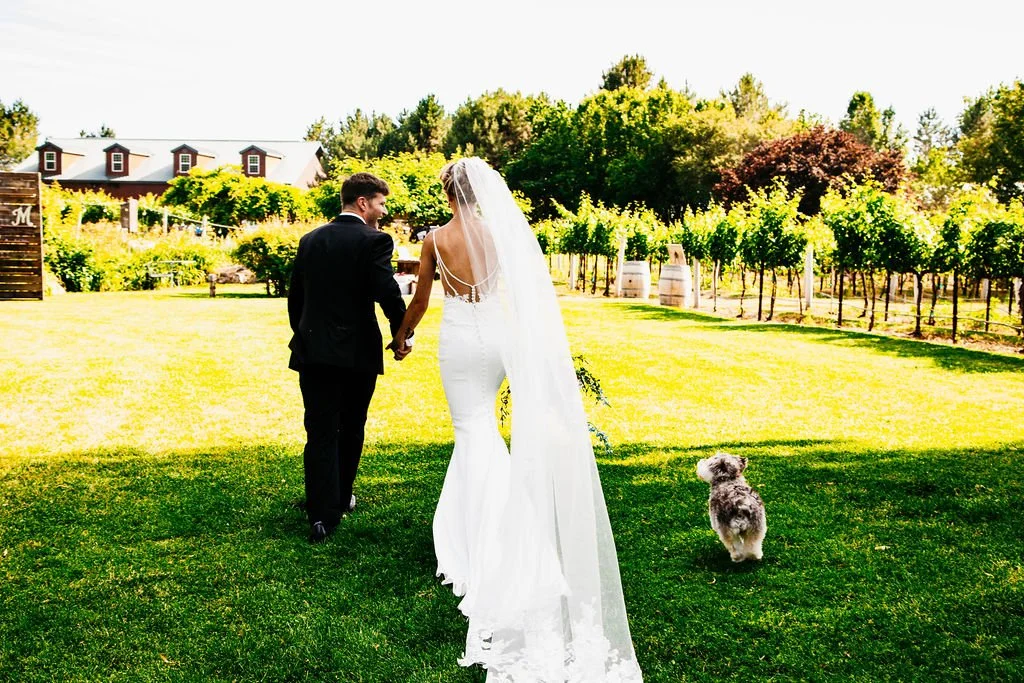 Bride and groom holding hands walking on lush green grass in outdoor vineyard setting with small dog nearby and winery in the background.