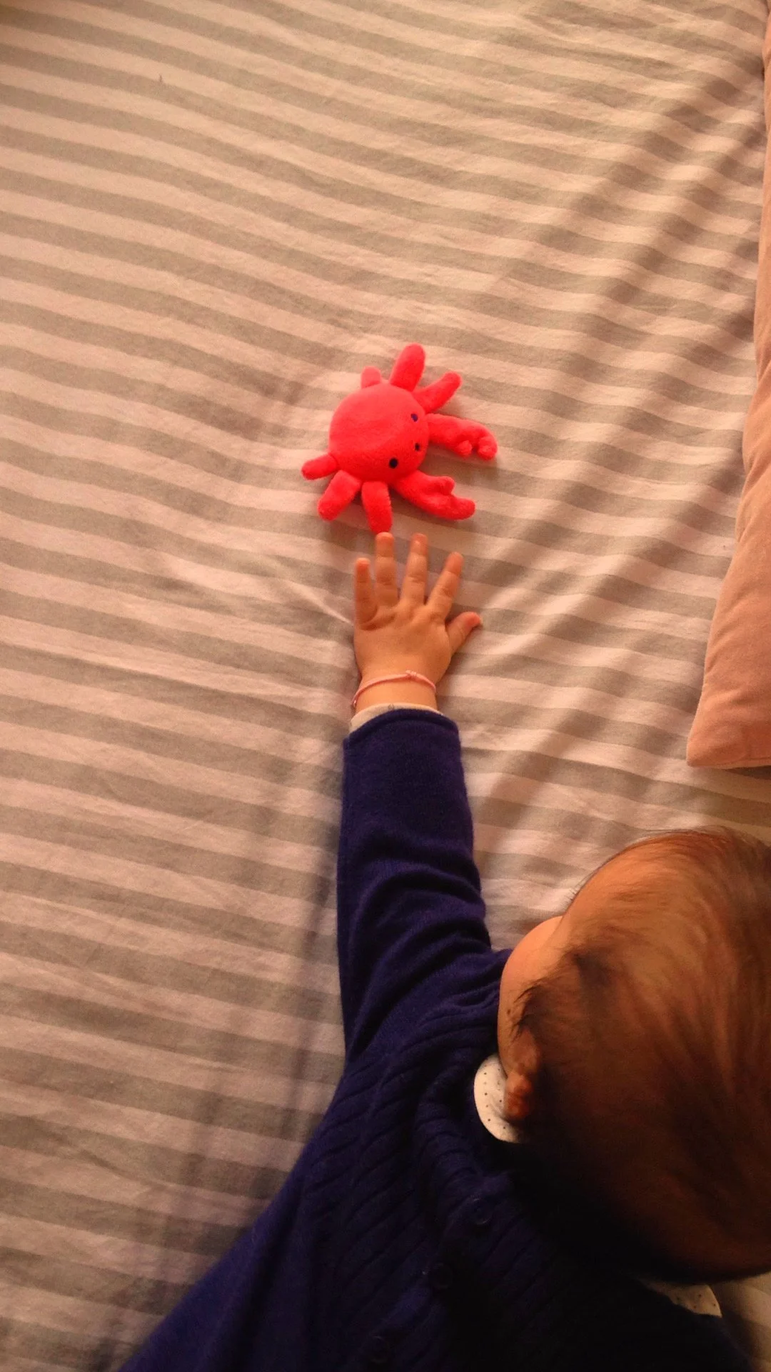 ACTE PREMIER. COACHING INDIVIDUEL