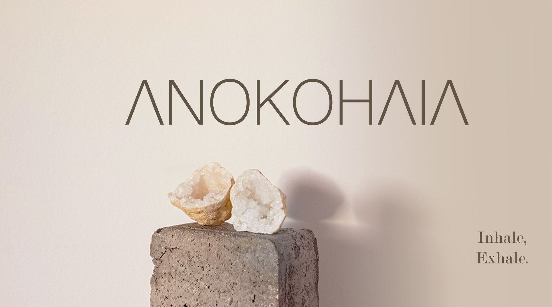 ANOKOHAIA_2_02.jpg