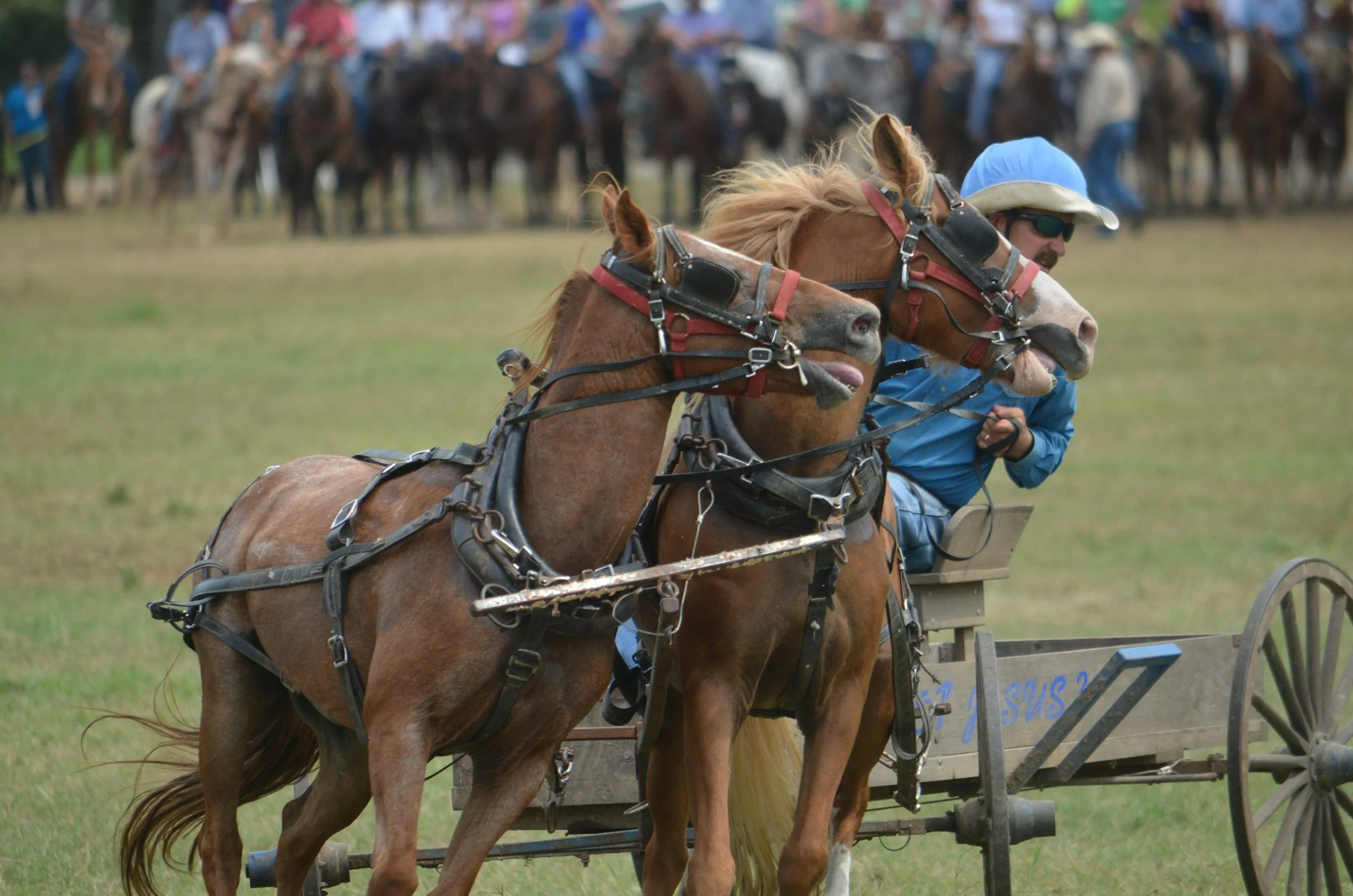 Battle of the Rockies Chuck wagon races