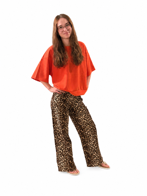 3AB0B61F-125C-4749-9572-69DE65A35D00.PNG