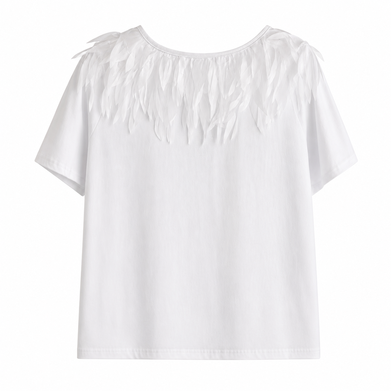 D8D8E504-5591-41C6-A034-0E947FEFC672.PNG