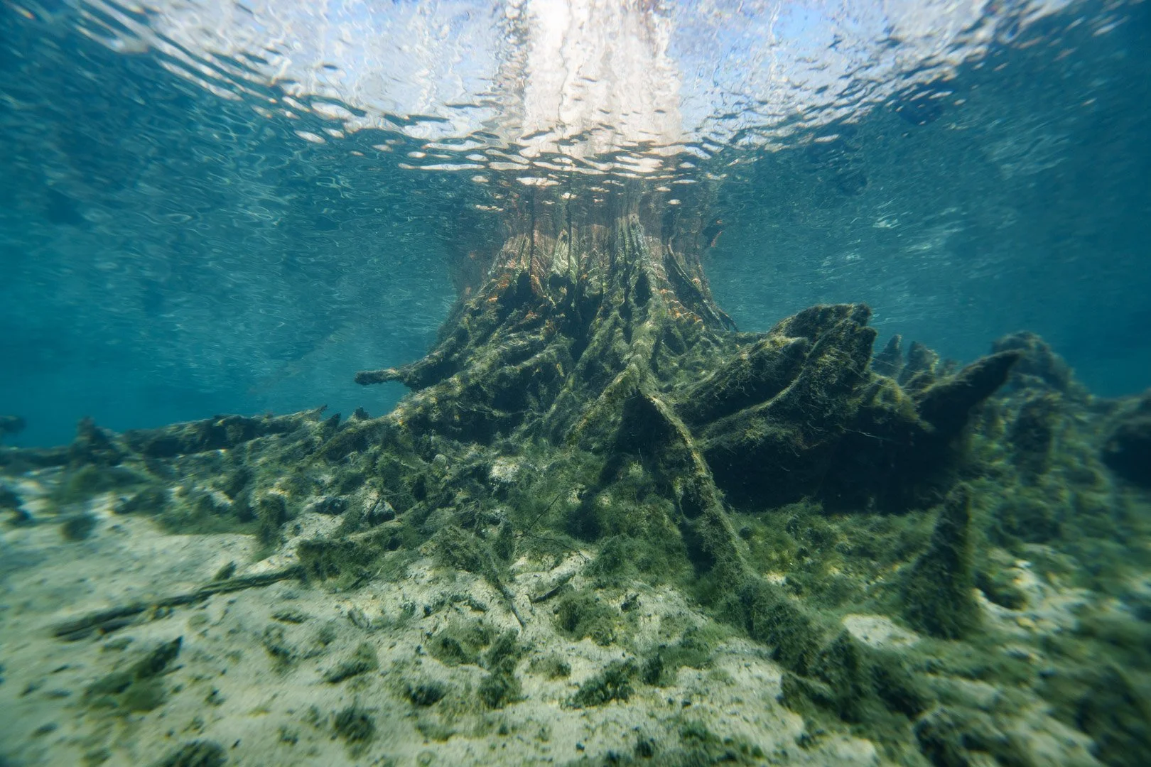 Morrison Springs, Florida