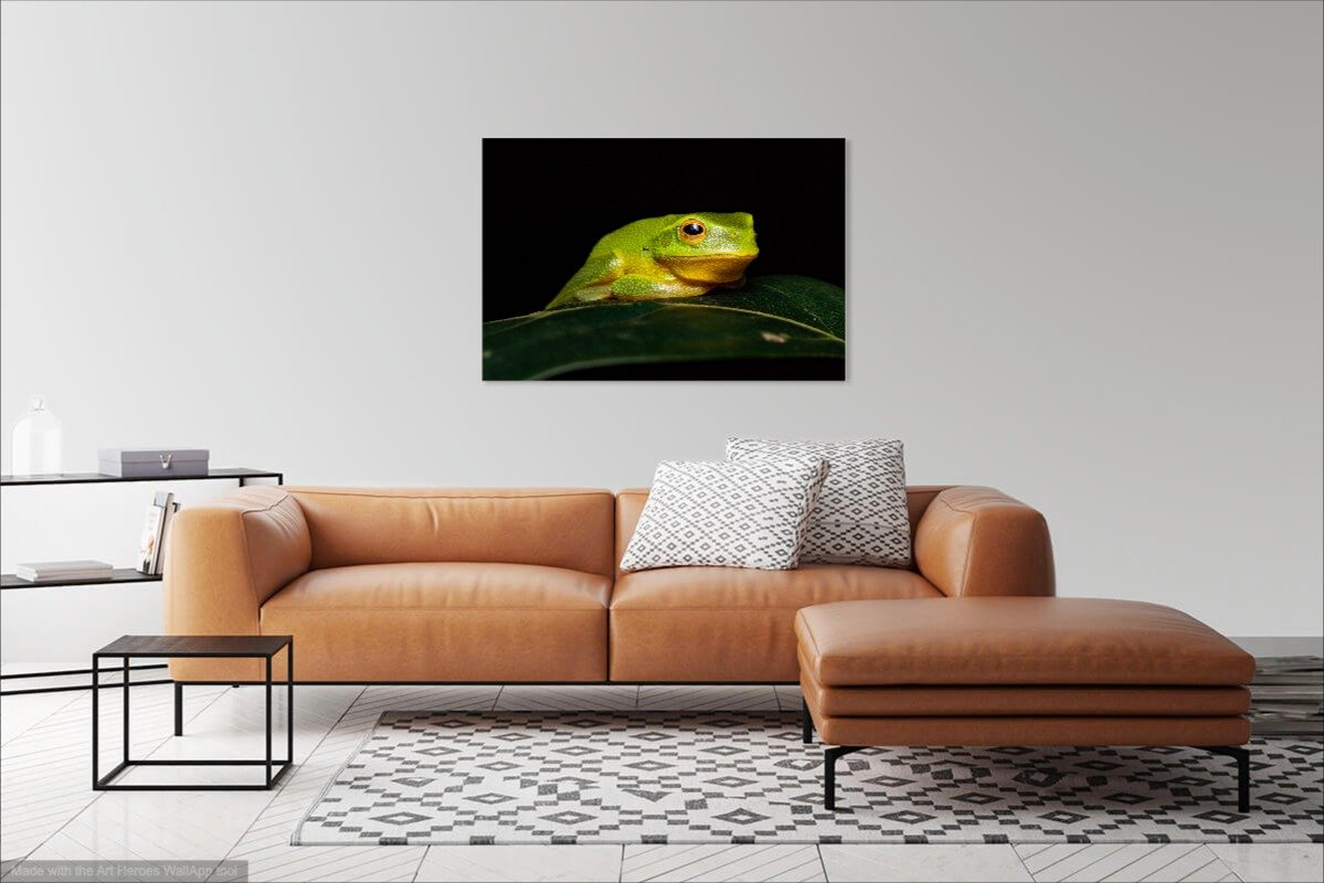 GreenTreeFrogWALLAPP.jpg