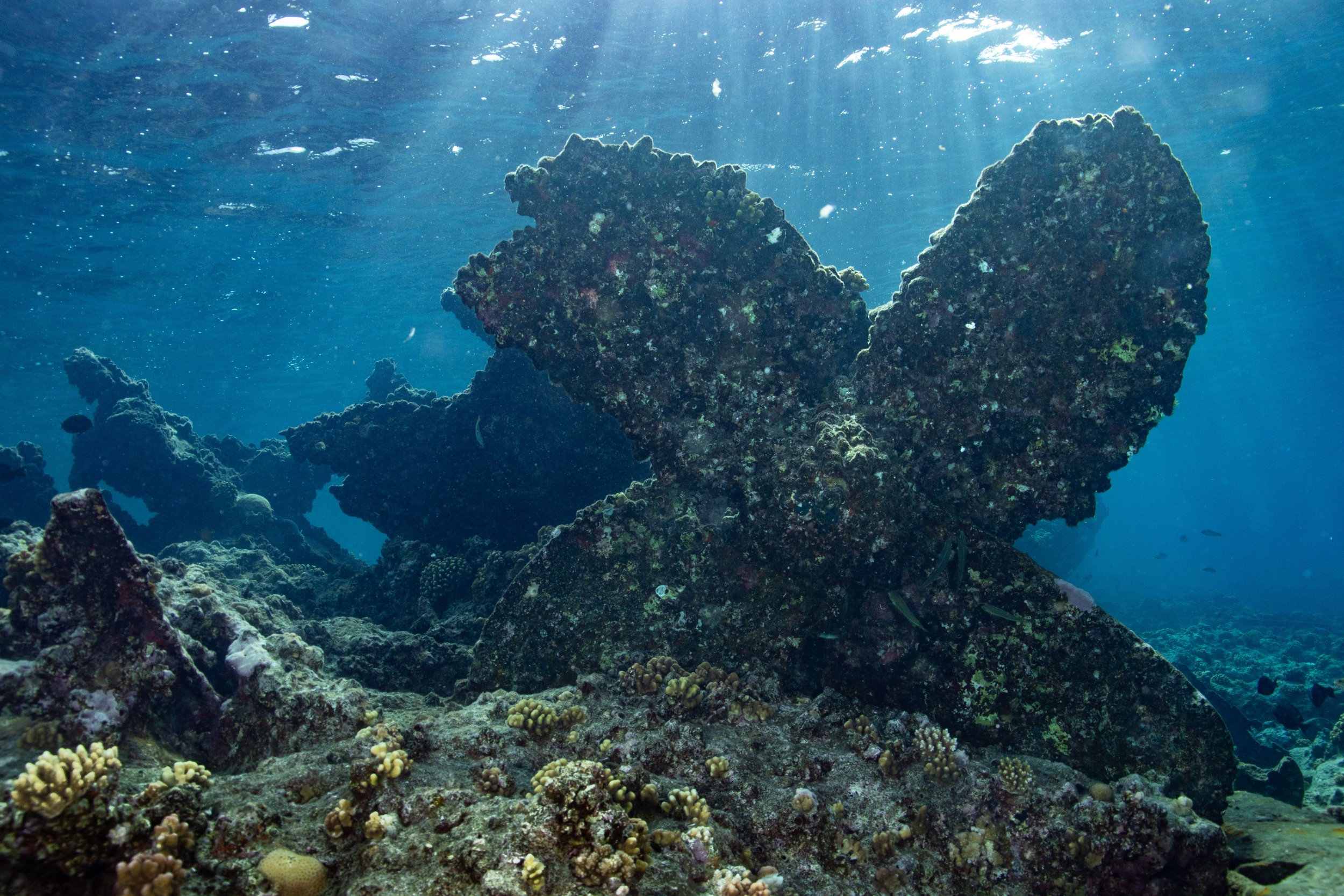 Red Sea, Saudi Arabia