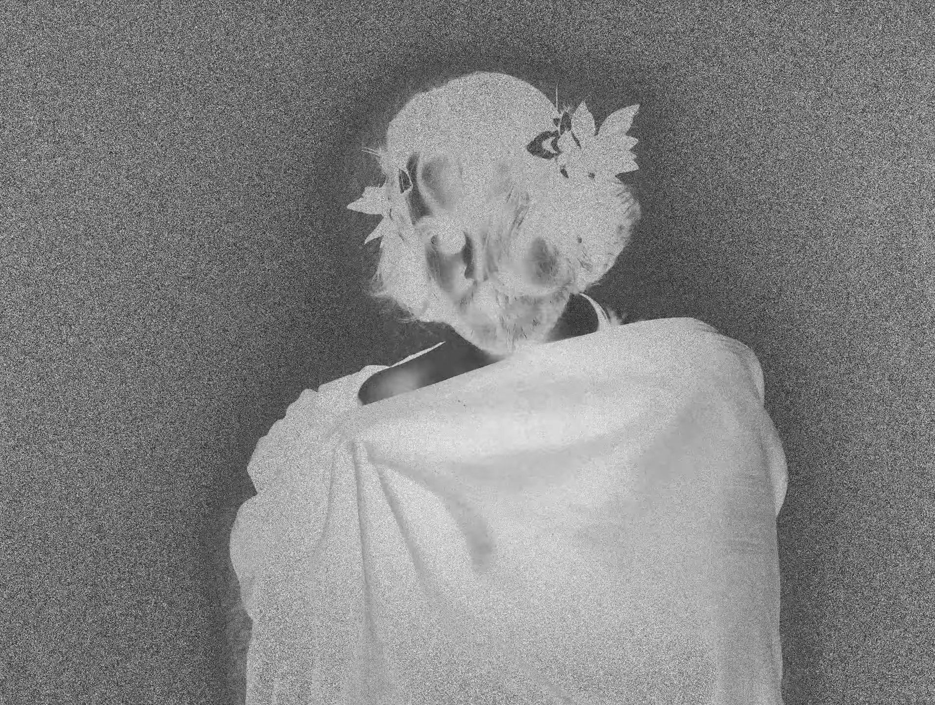 Optical illusion of a woman turning her back, with her hair styled in an updo adorned with flowers, creating the impression of a skull.