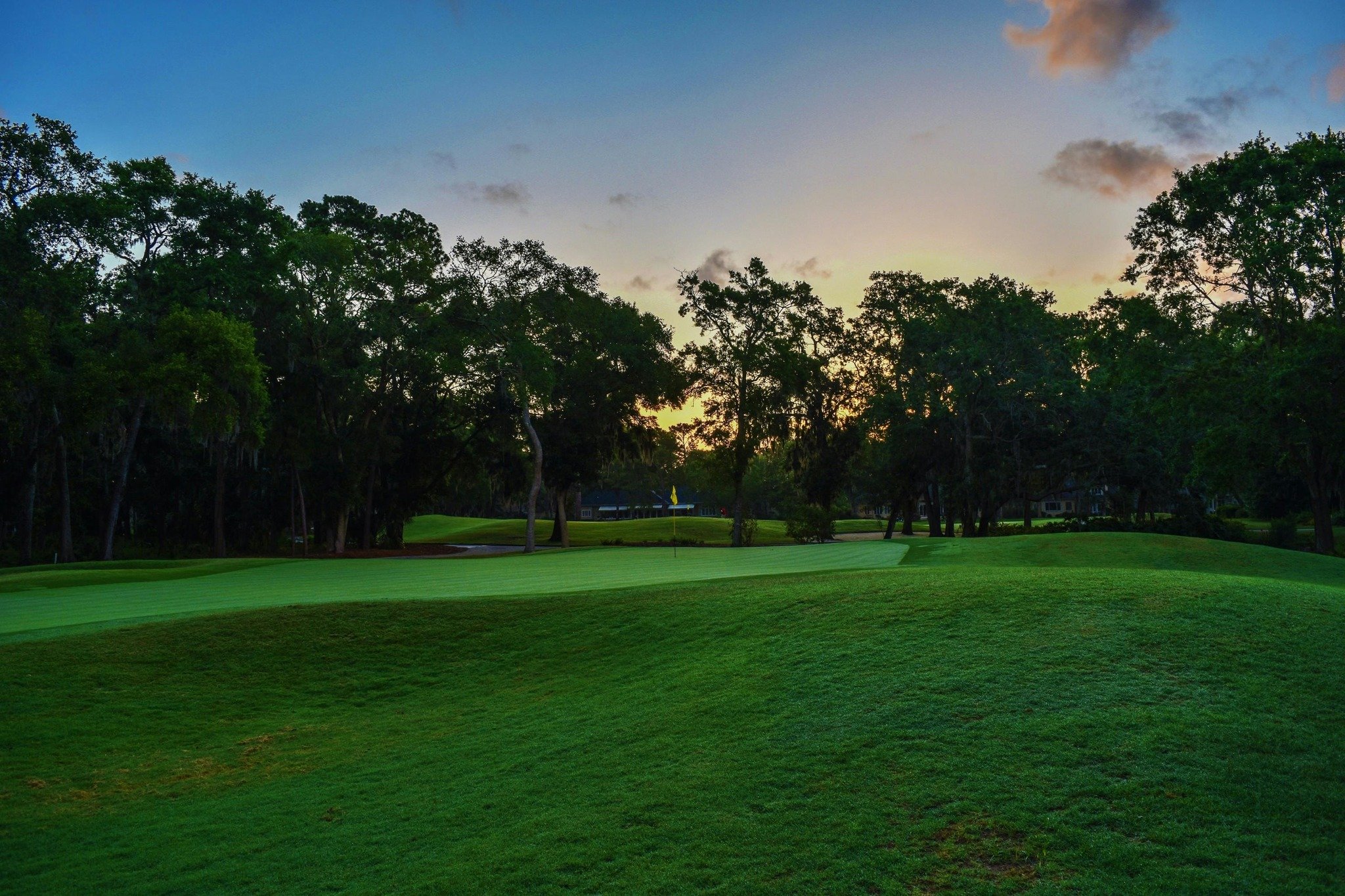 Champagne clinks. Sun glints off the fairway. Welcome to the U.S. Open, the Selcoure way.

Experience one of the biggest golf tournaments in the world with:
▪️ Premium hospitality suite access
▪️ Private shuttles and concierge service
▪️ Curated luxu