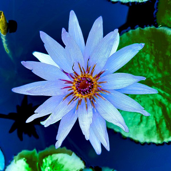 Centered