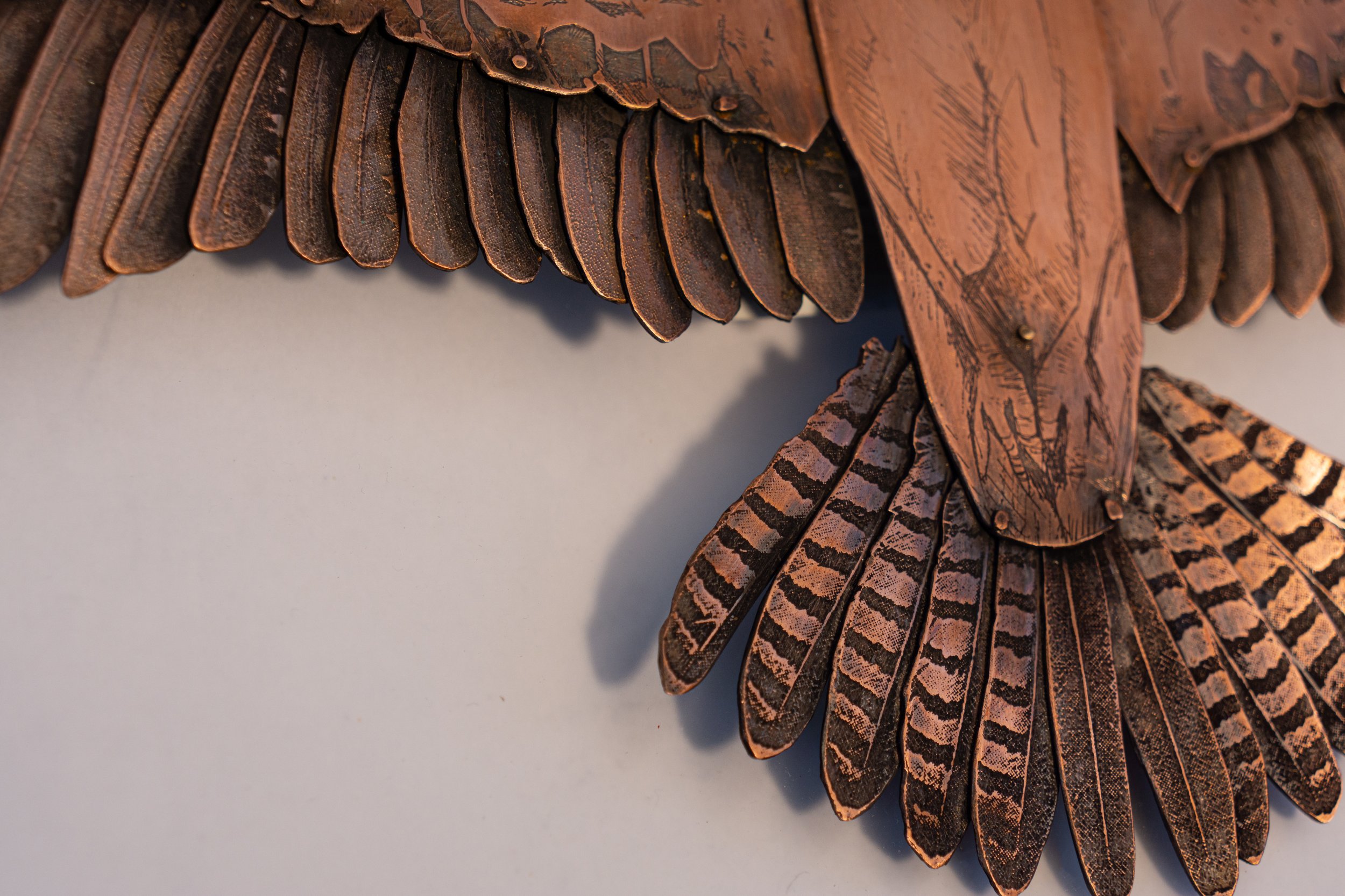 ospreydetail.jpg