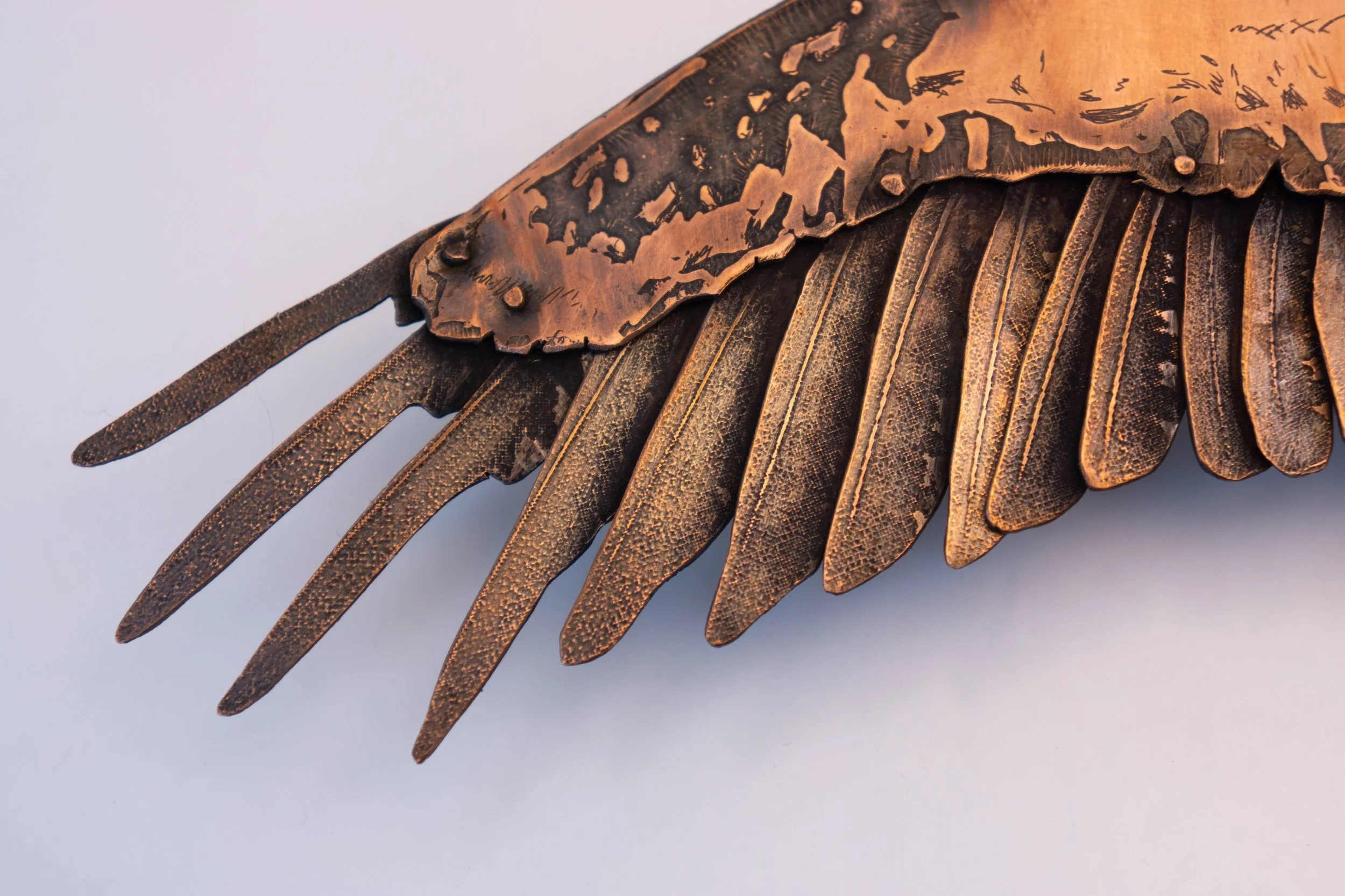 ospreydetail2.jpg