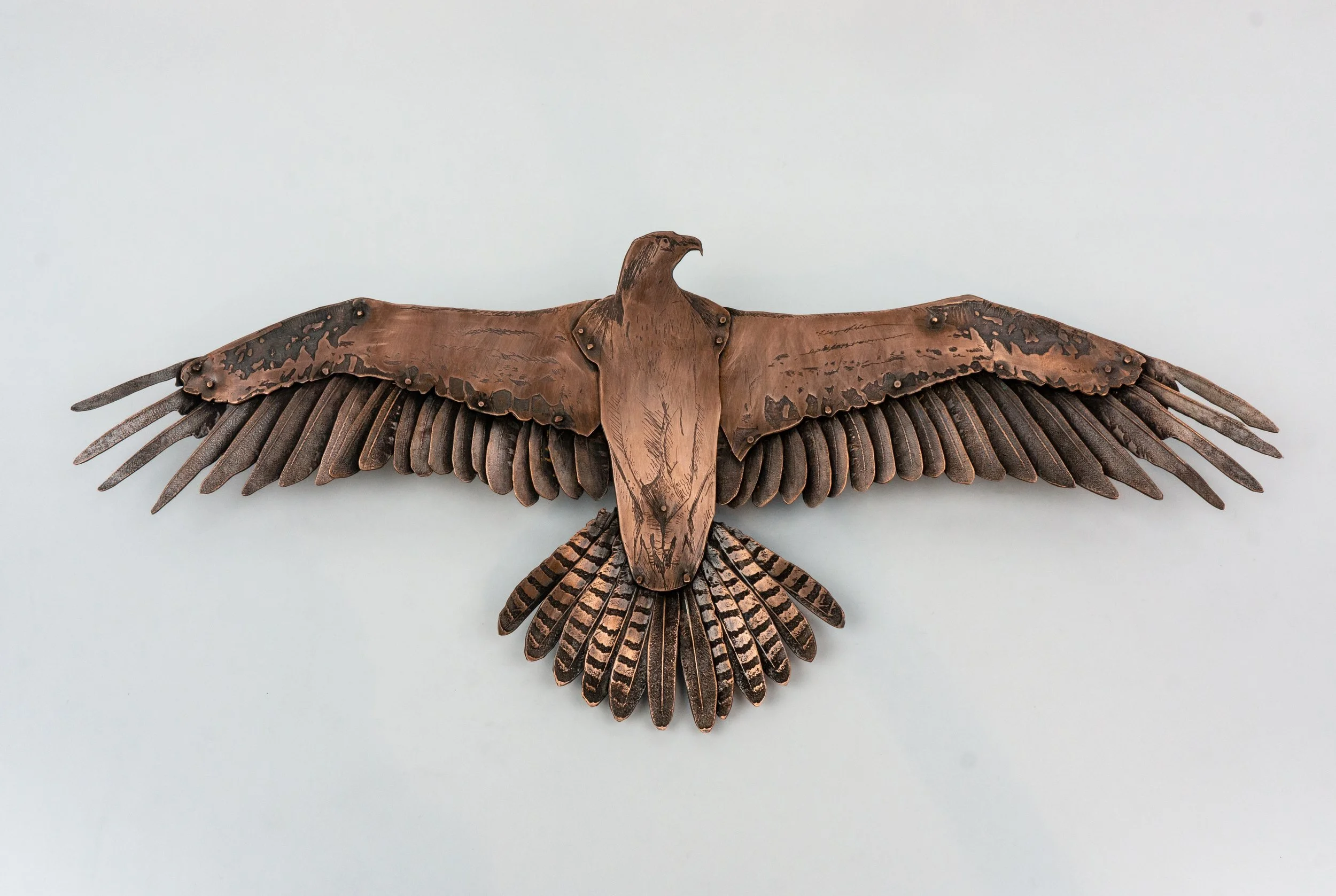 Osprey - 5x11.7" - Copper w/ liver of sulfer patination