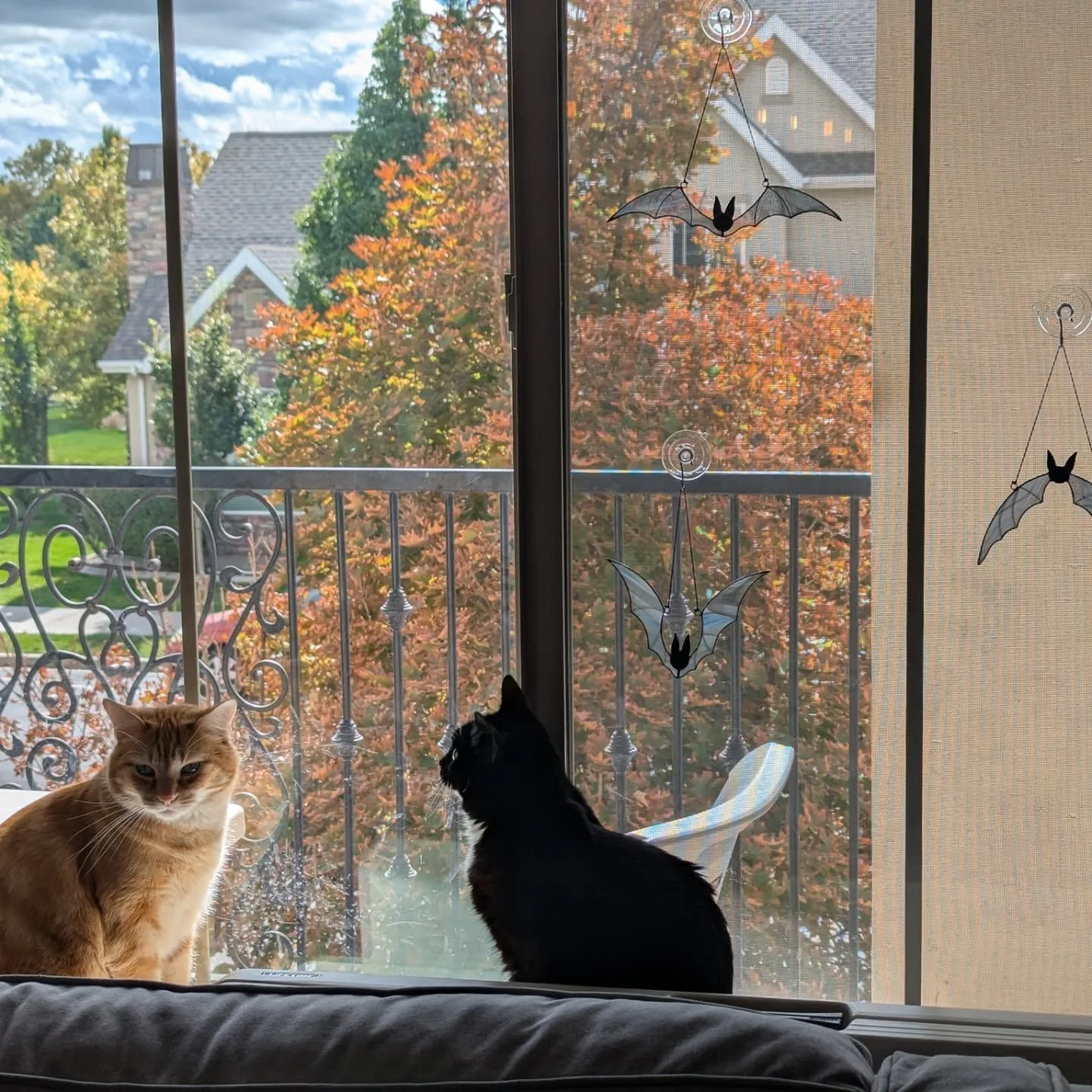 #fallvibes🍁 I always want to write more in the fall. Anyone else feel that way???