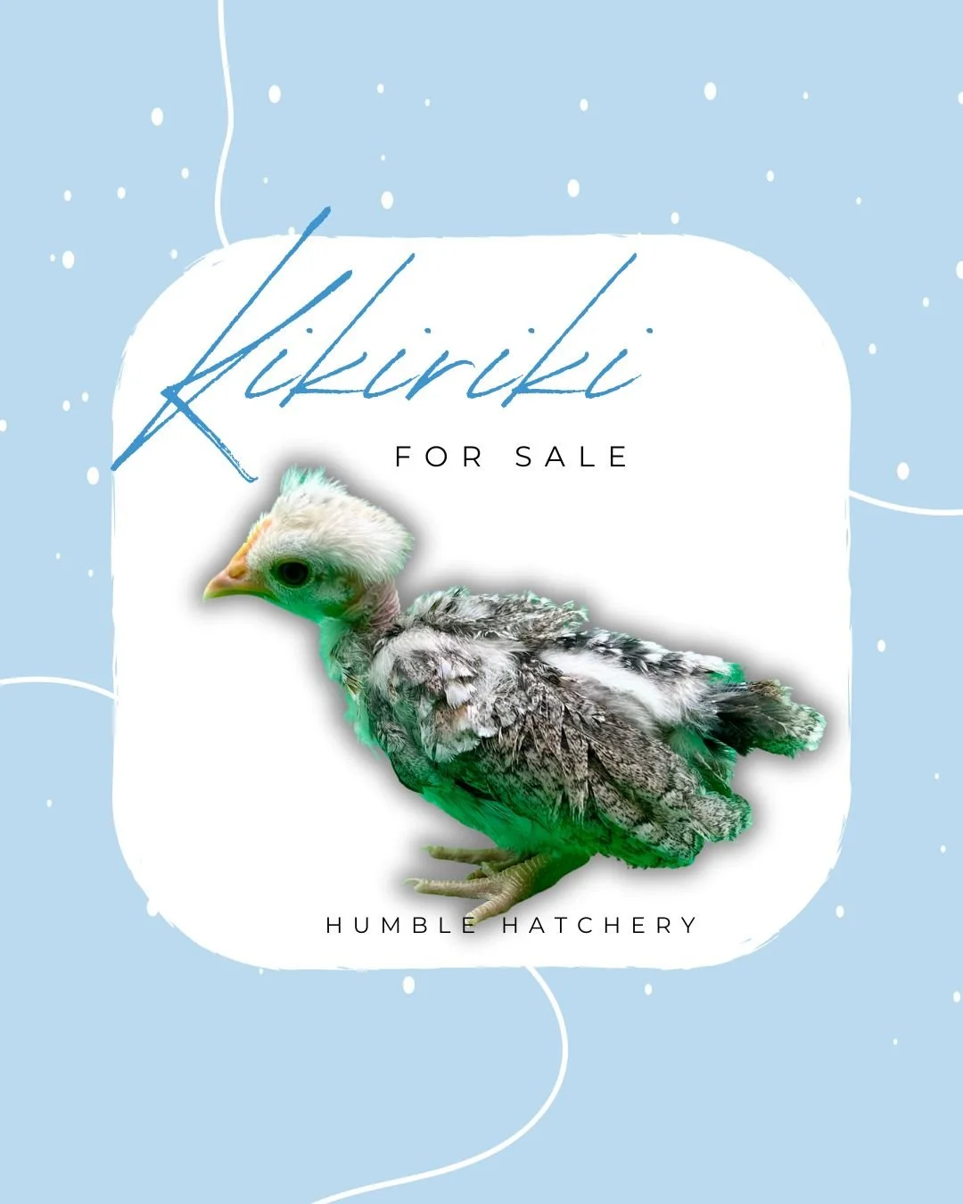 Blue Simple Winter Sale Instagram Post (1).jpg