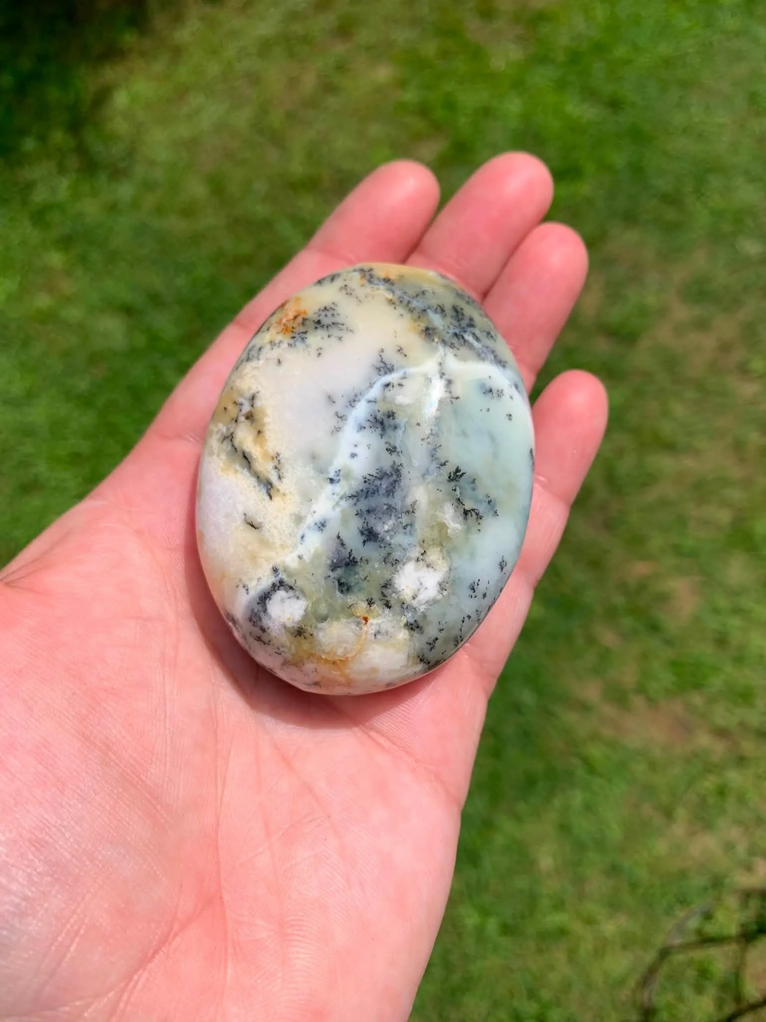 Dendritic Opal Palmstone