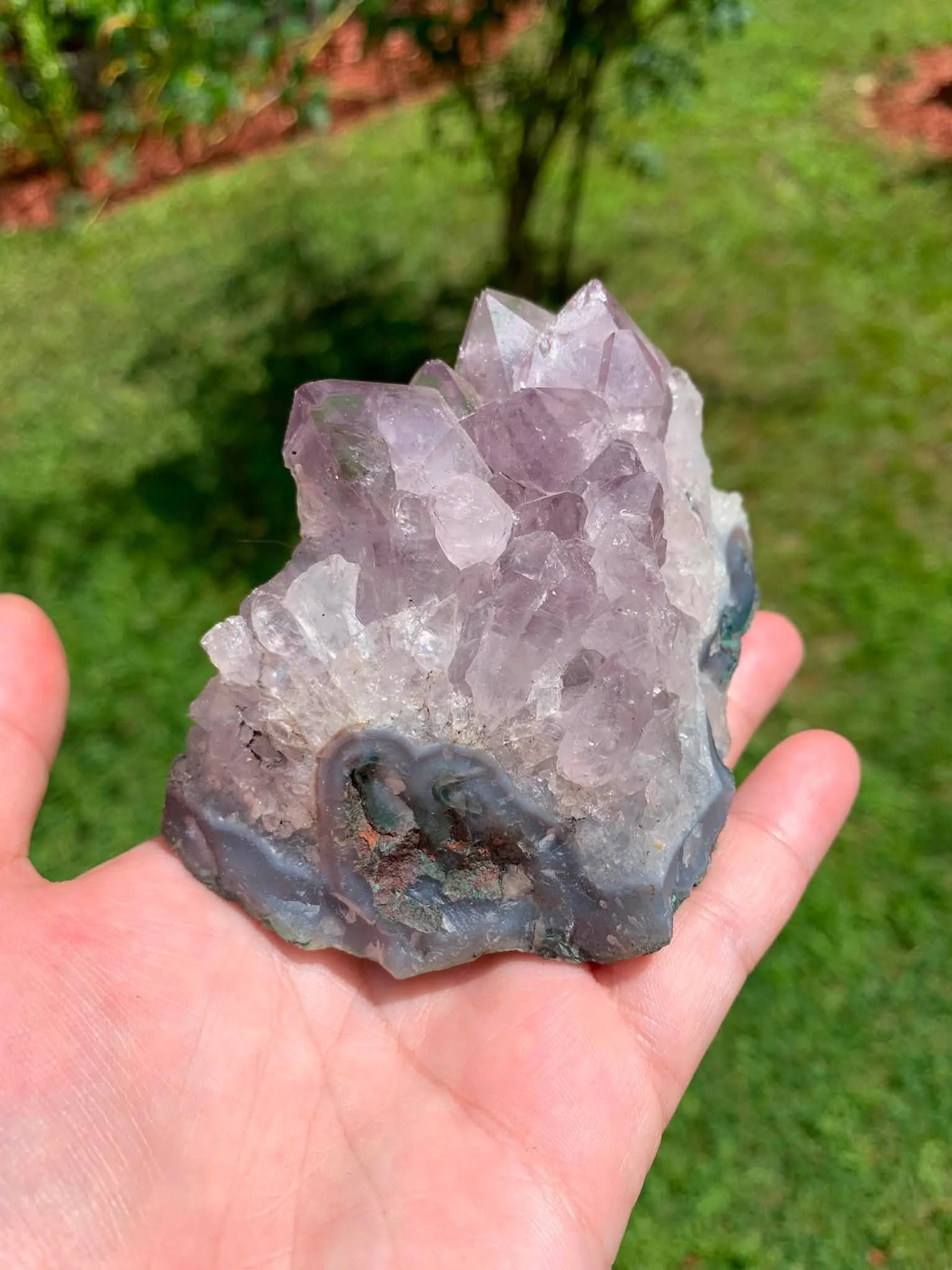 Raw Amethyst Cluster