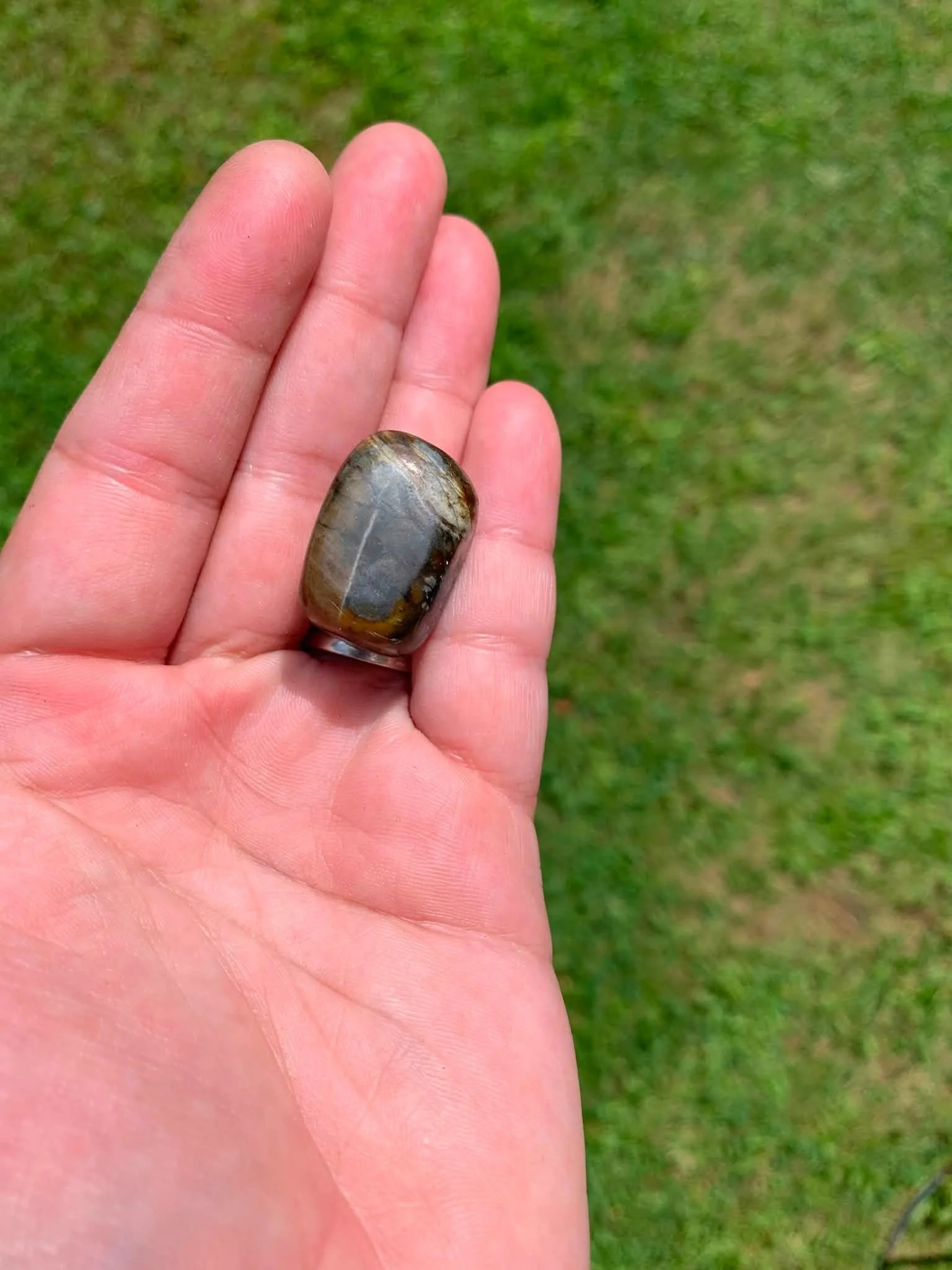 Petrified Wood tumble