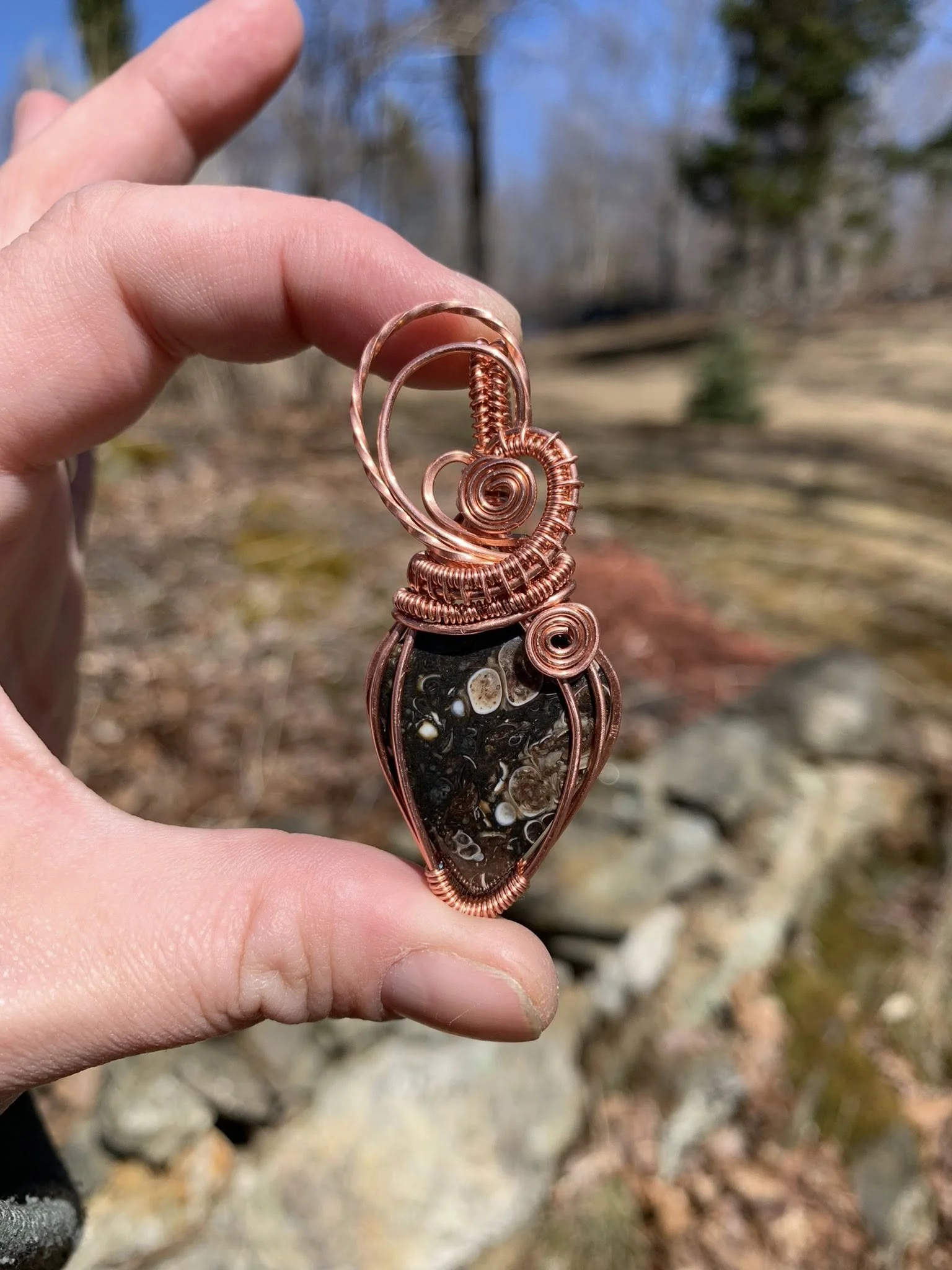 Turritella Agate in Bare Copper