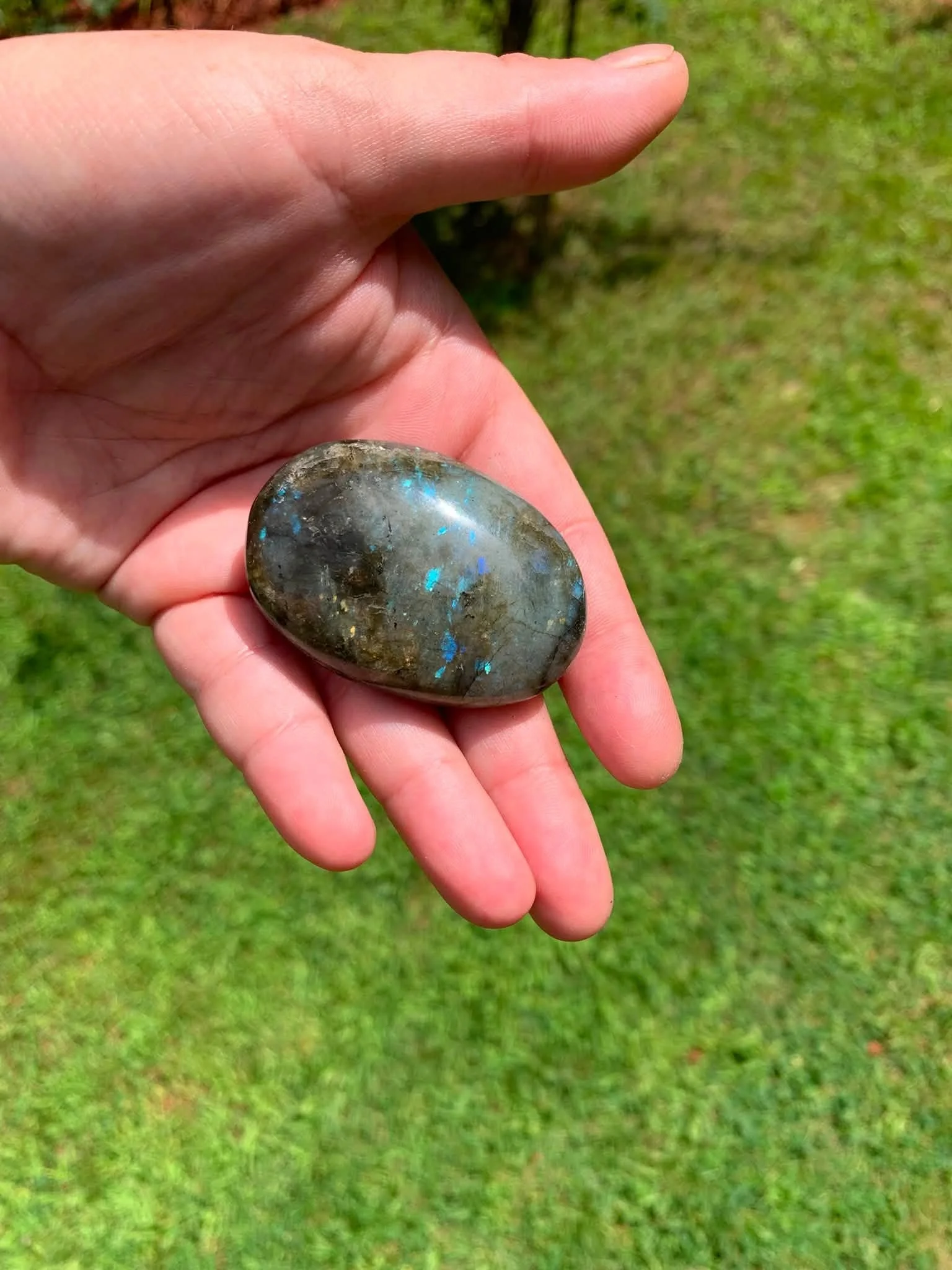 Speckle Flash Labradorite Palmstone