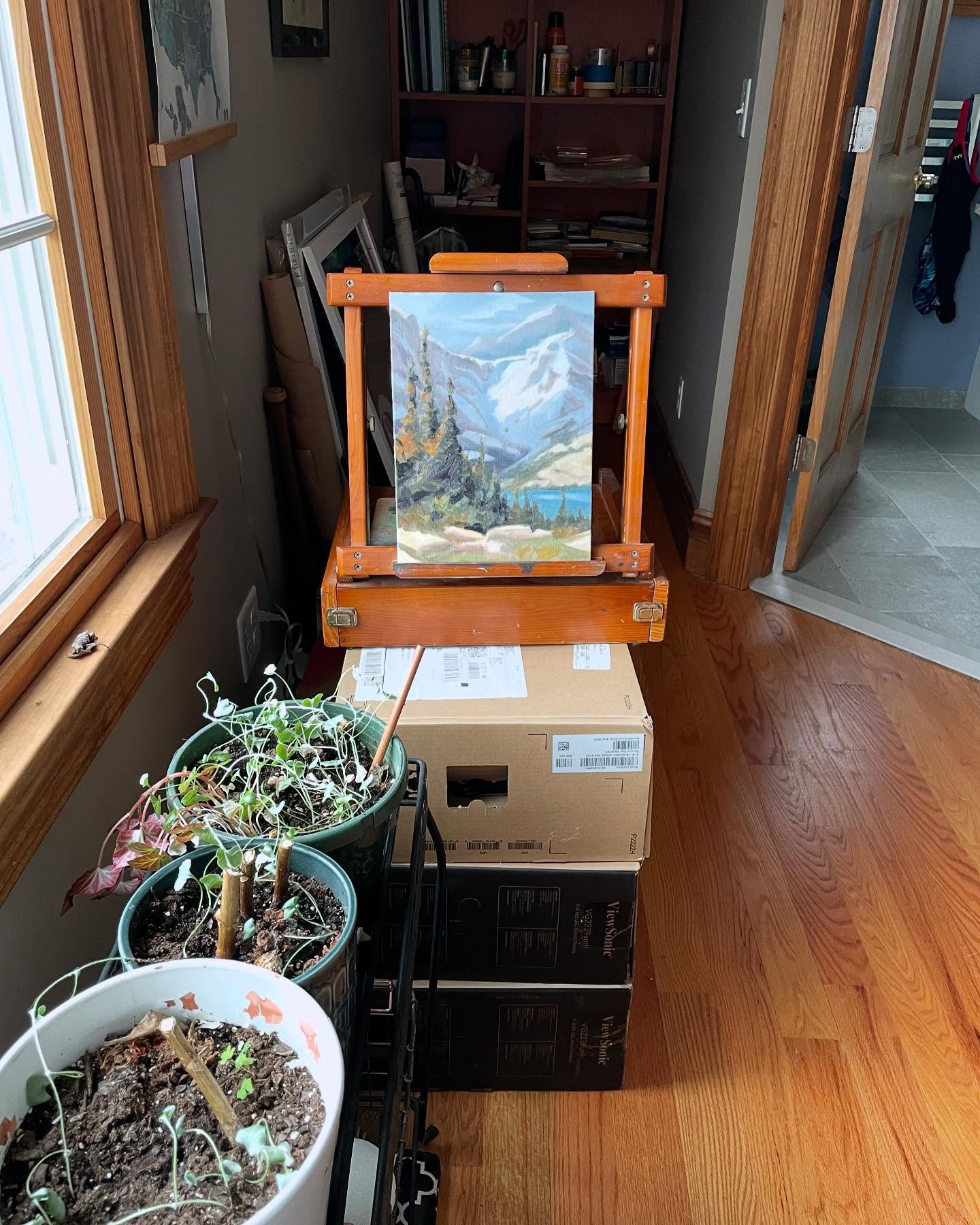 Painting in progress, plants holding on for dear life, cardboard boxes as furniture, and bathing suits hung up in the bathroom. Nicely sums up life around these parts 

#behindthescenes #inthestudio #worklifebalance #organizedchaos