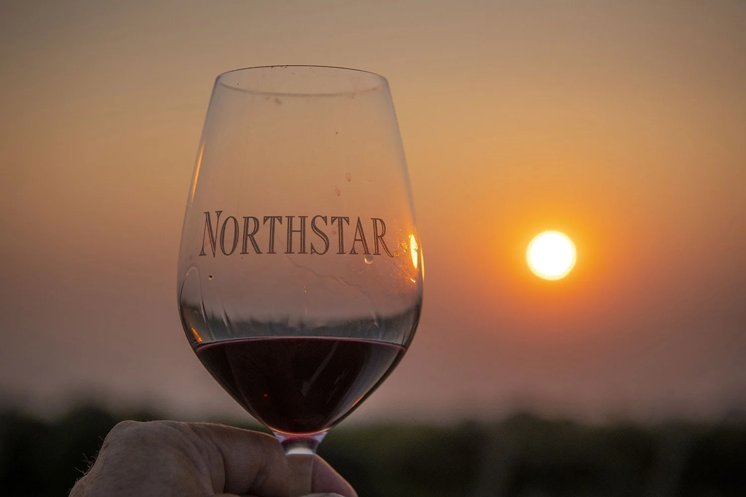 2209 NorthstarDinner.GL_547 e.jpg