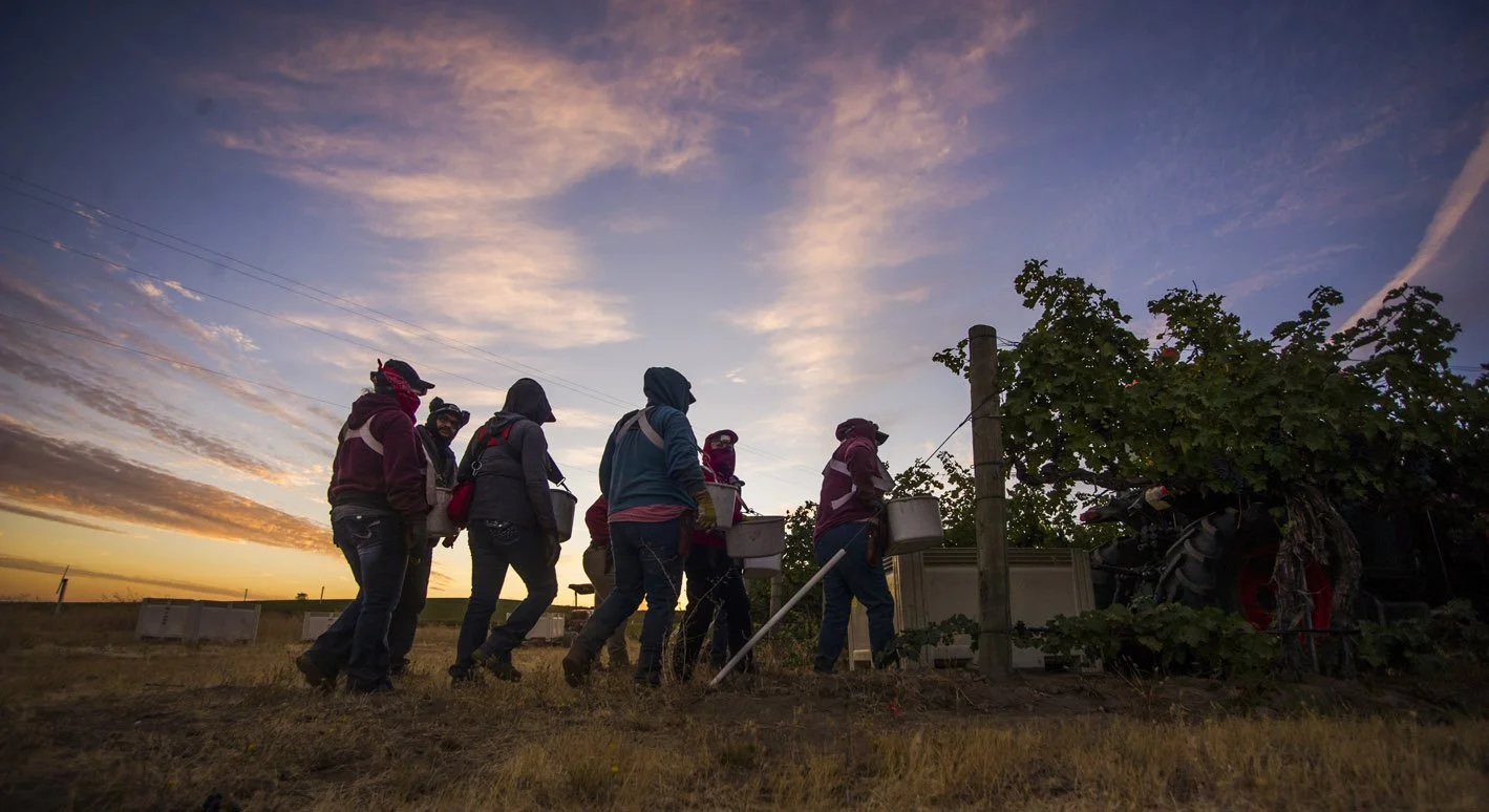 1809 MorningHarvest-7Hills.GL_0443 e.jpg