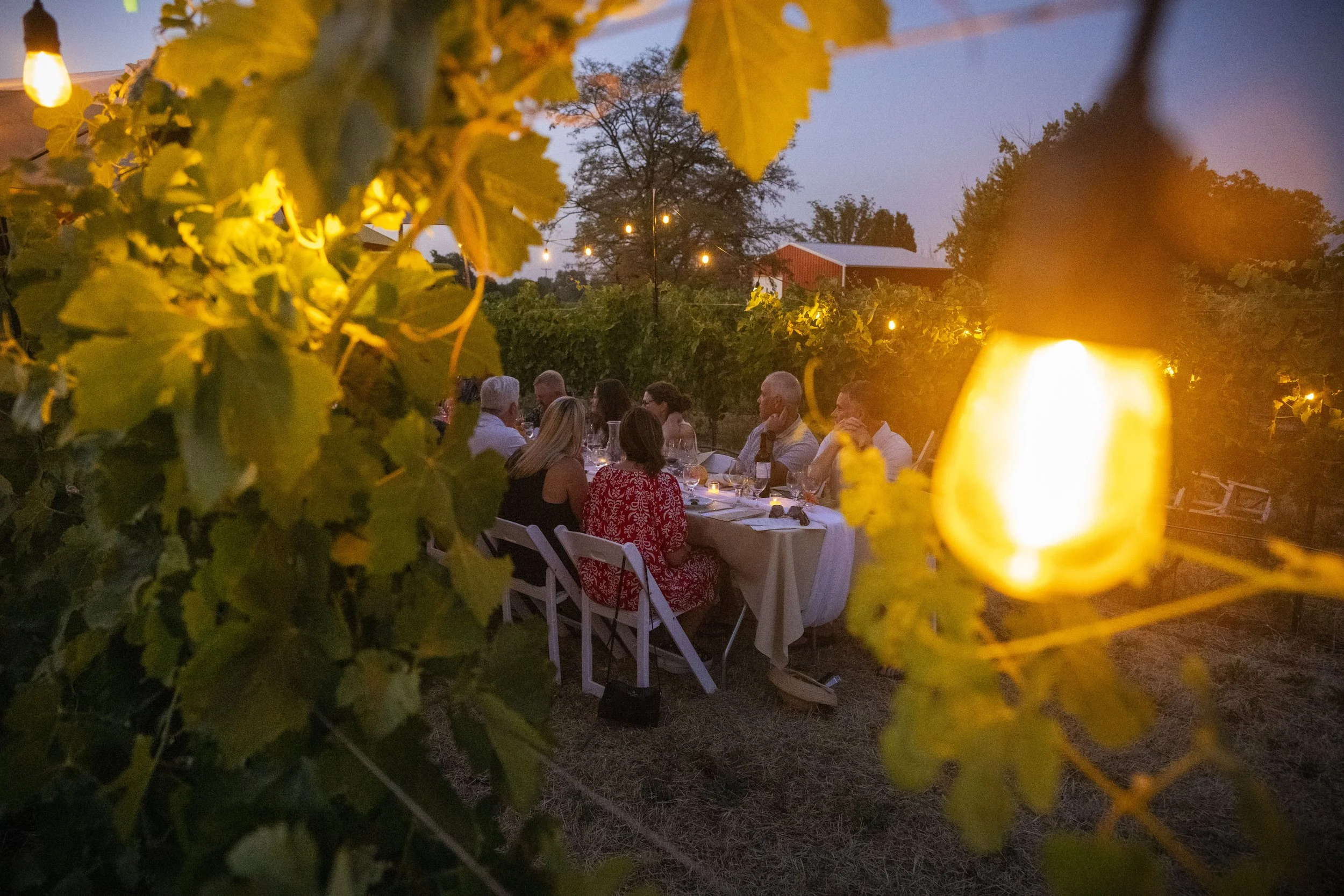 2407 ArmstrongDucleaux.GL__0491.jpg