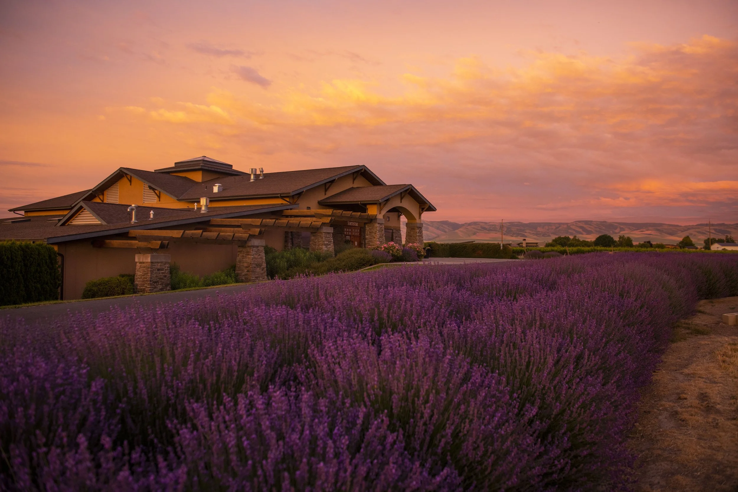 2106 NorthstarSunset.GL_0169.jpg