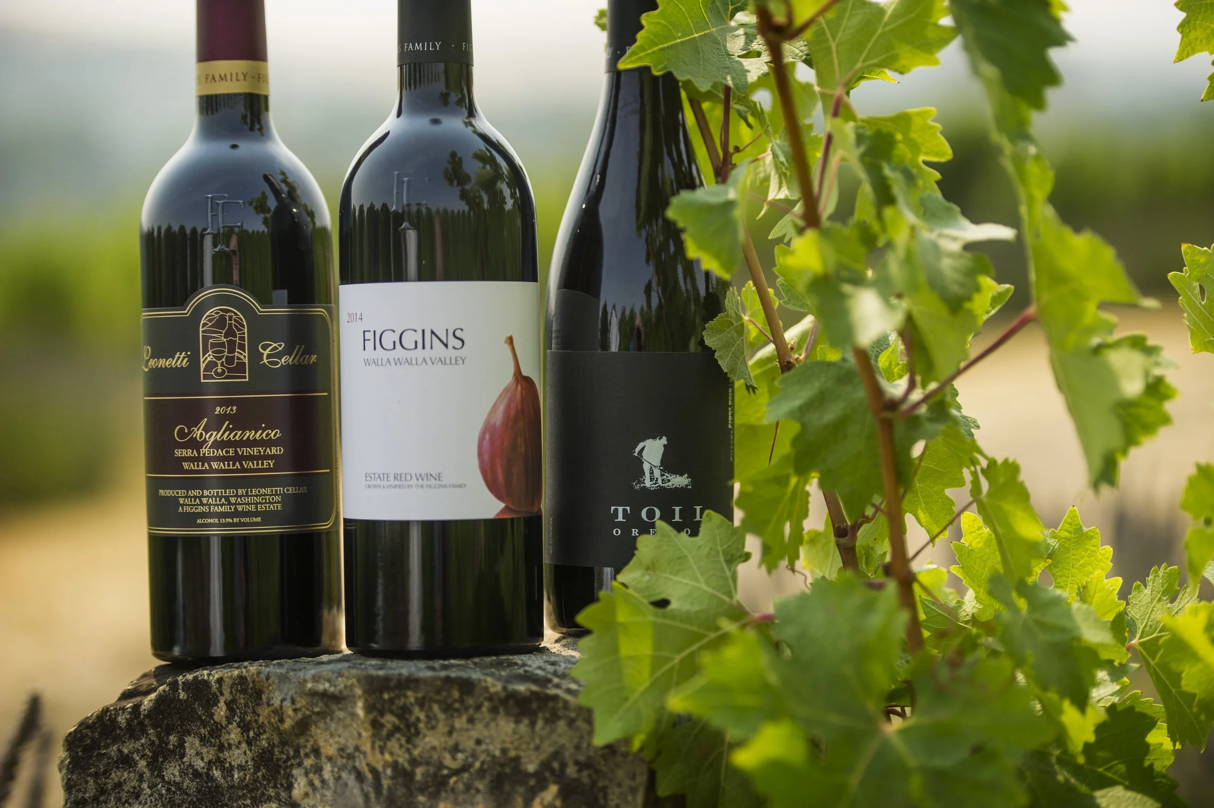 1808 ChrisFiggins-Wine.GL_0155.jpg