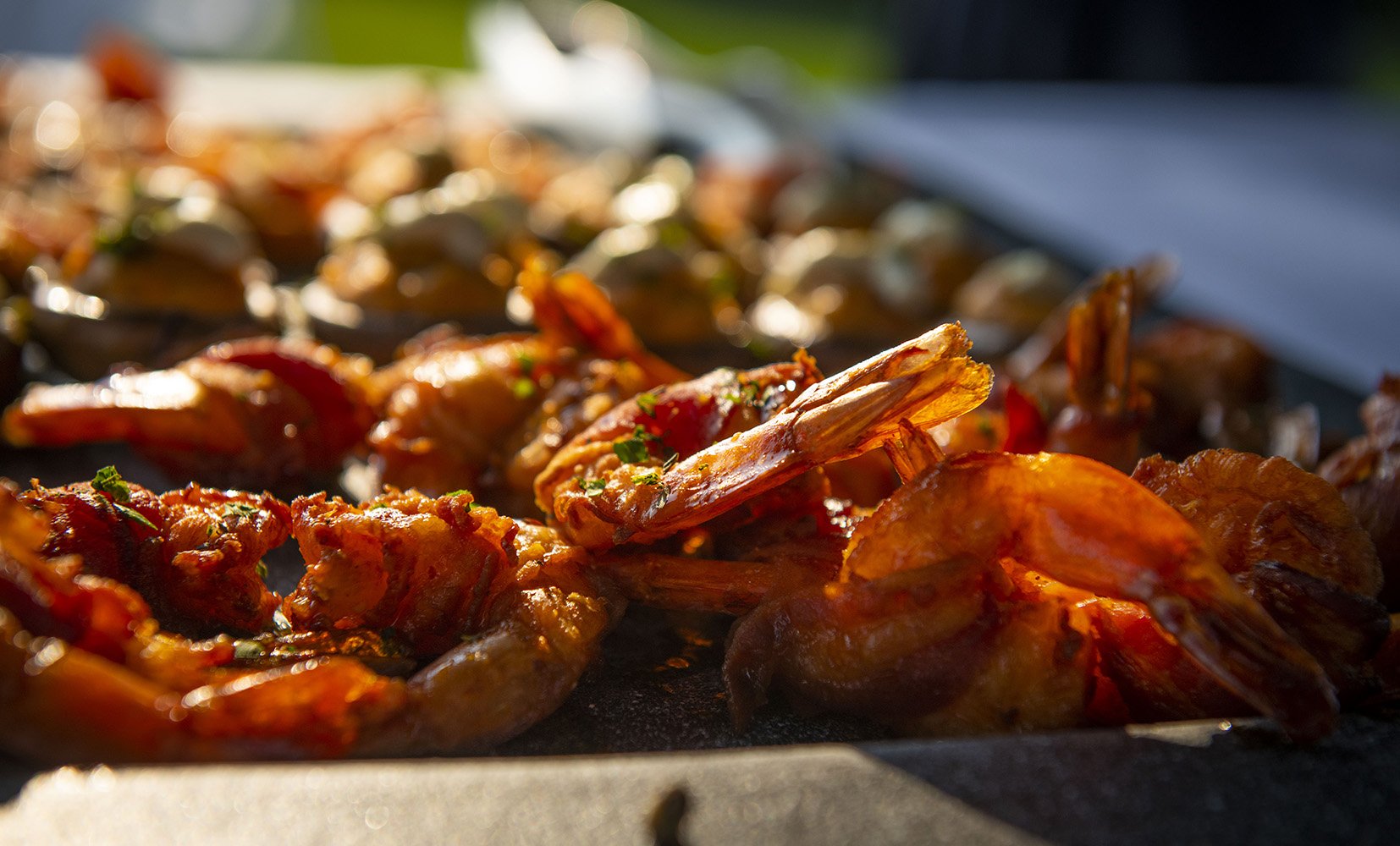 2209 NorthstarDinner.GL_093 e.jpg