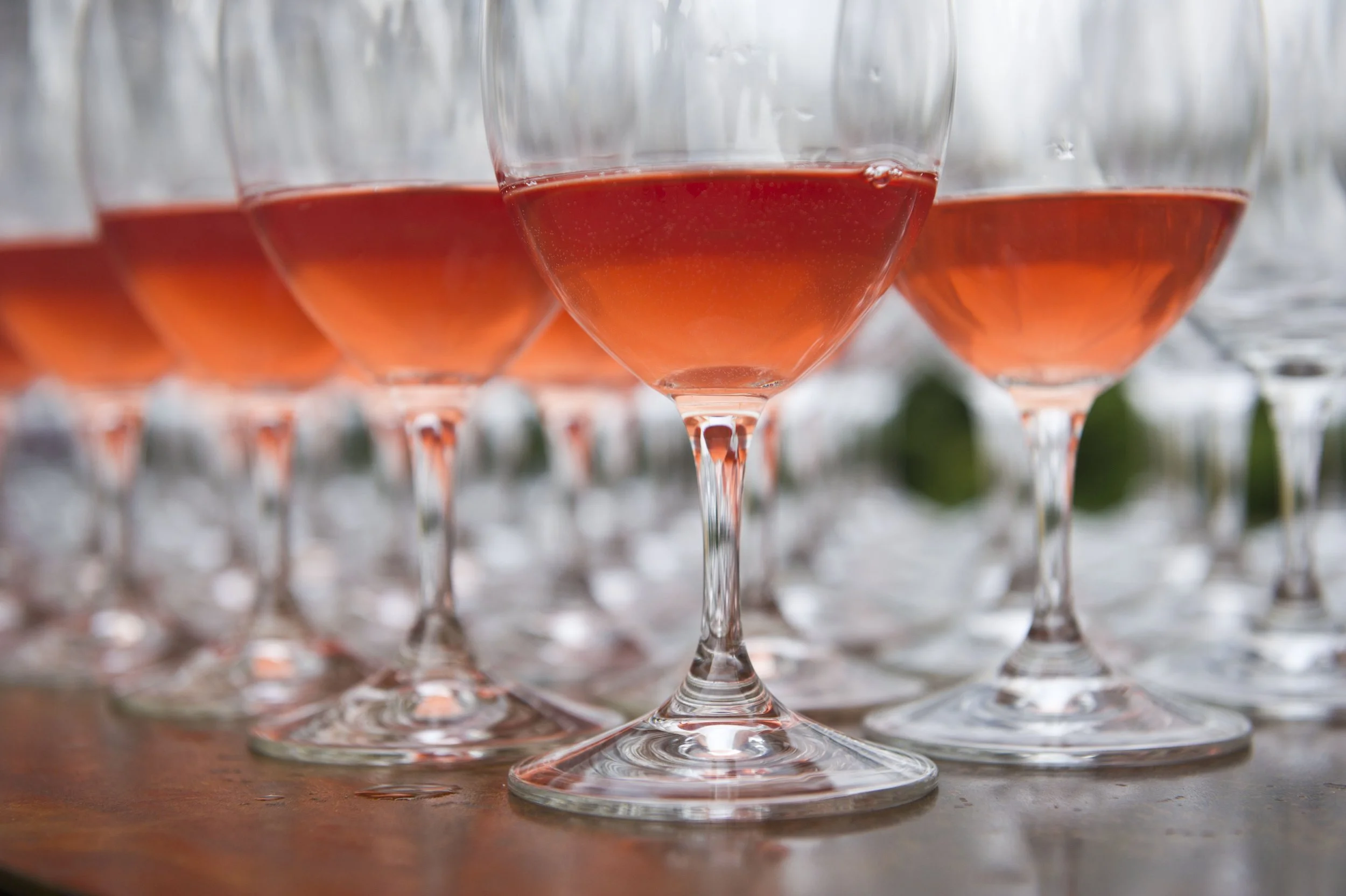 1709 Northstar-HarvestDinner.GL_0080.jpg