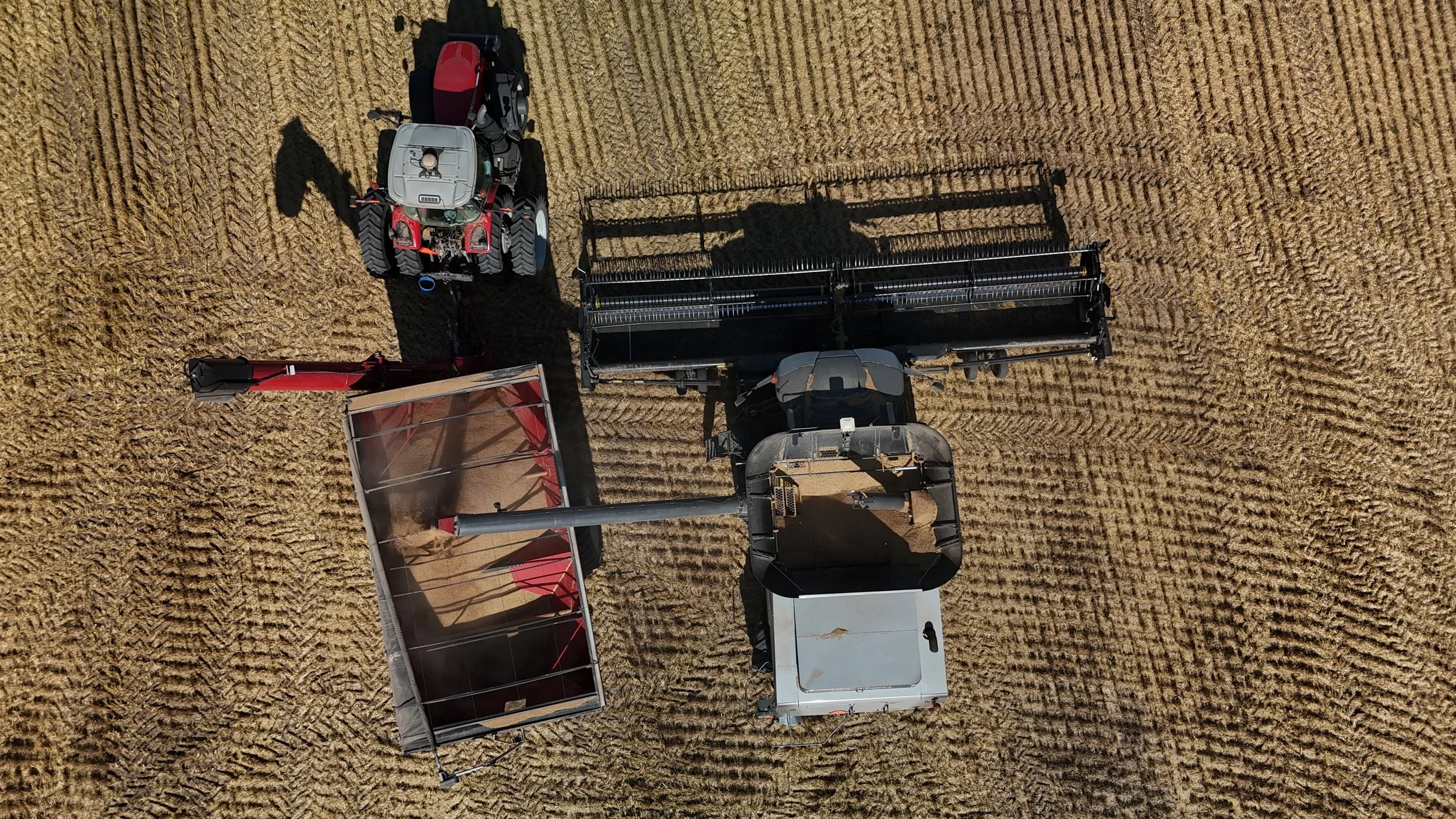 dji_fly_20240708_174442_0341_1720478620435_photo.JPG