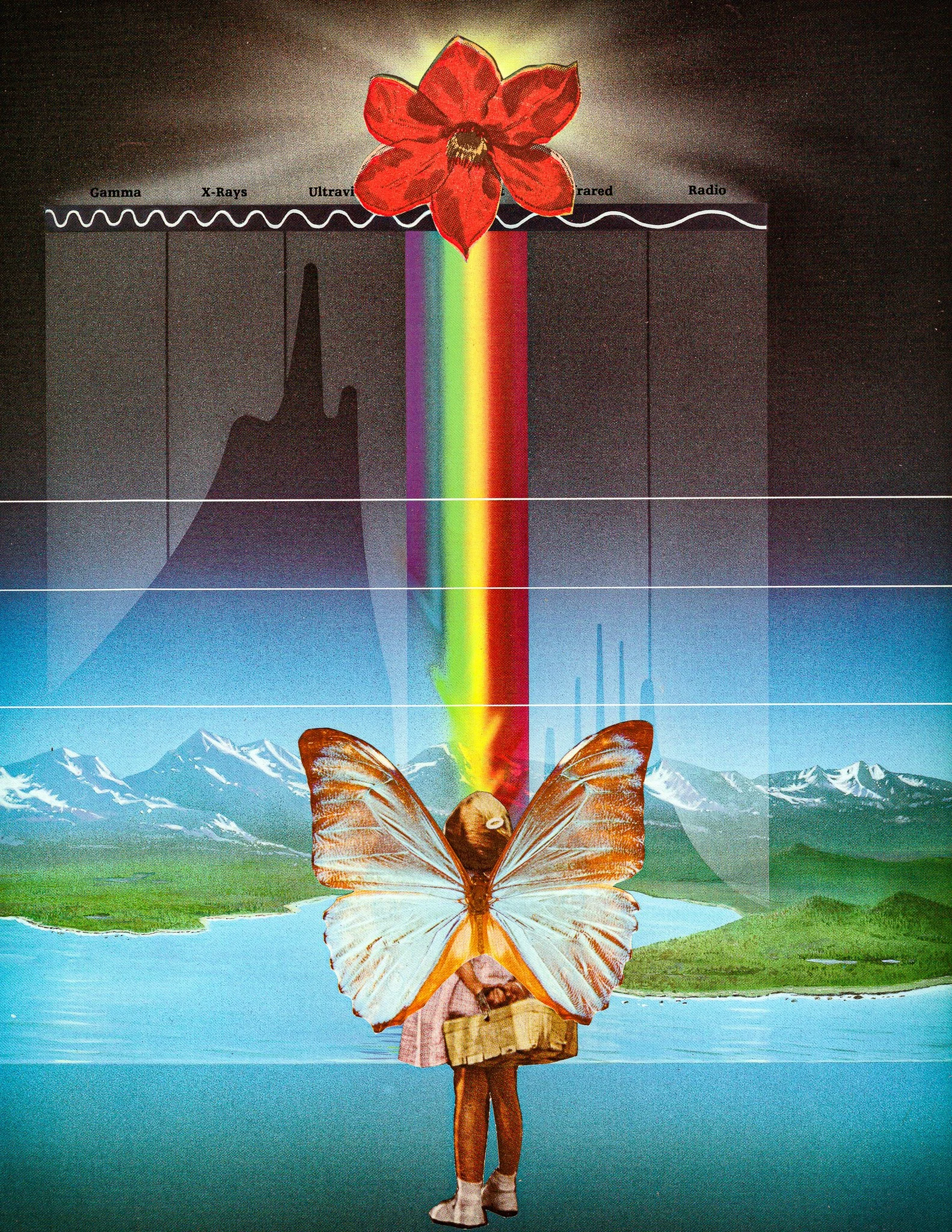 2026.07.12_ButterflyBaby-3.jpg